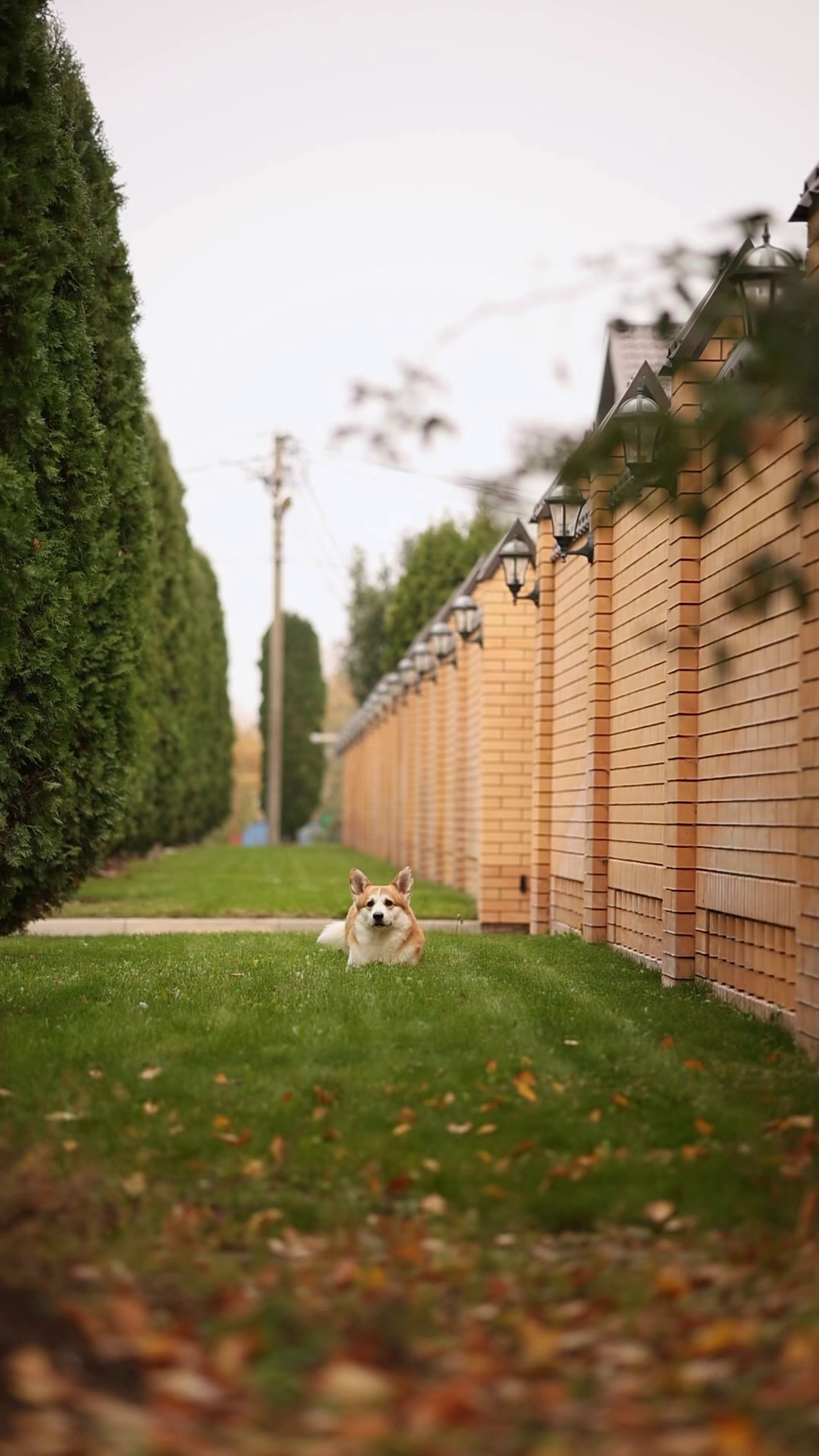 Фотограф-анималист в Краснодаре Маша Мельникова