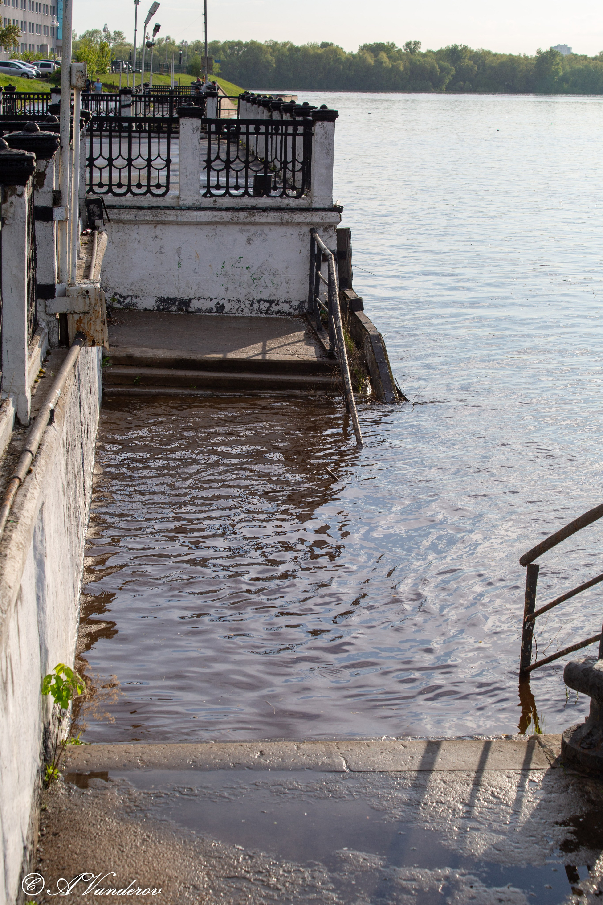 Прогулка 22.05.2024. Фотограф Омск | Александр Вандеров