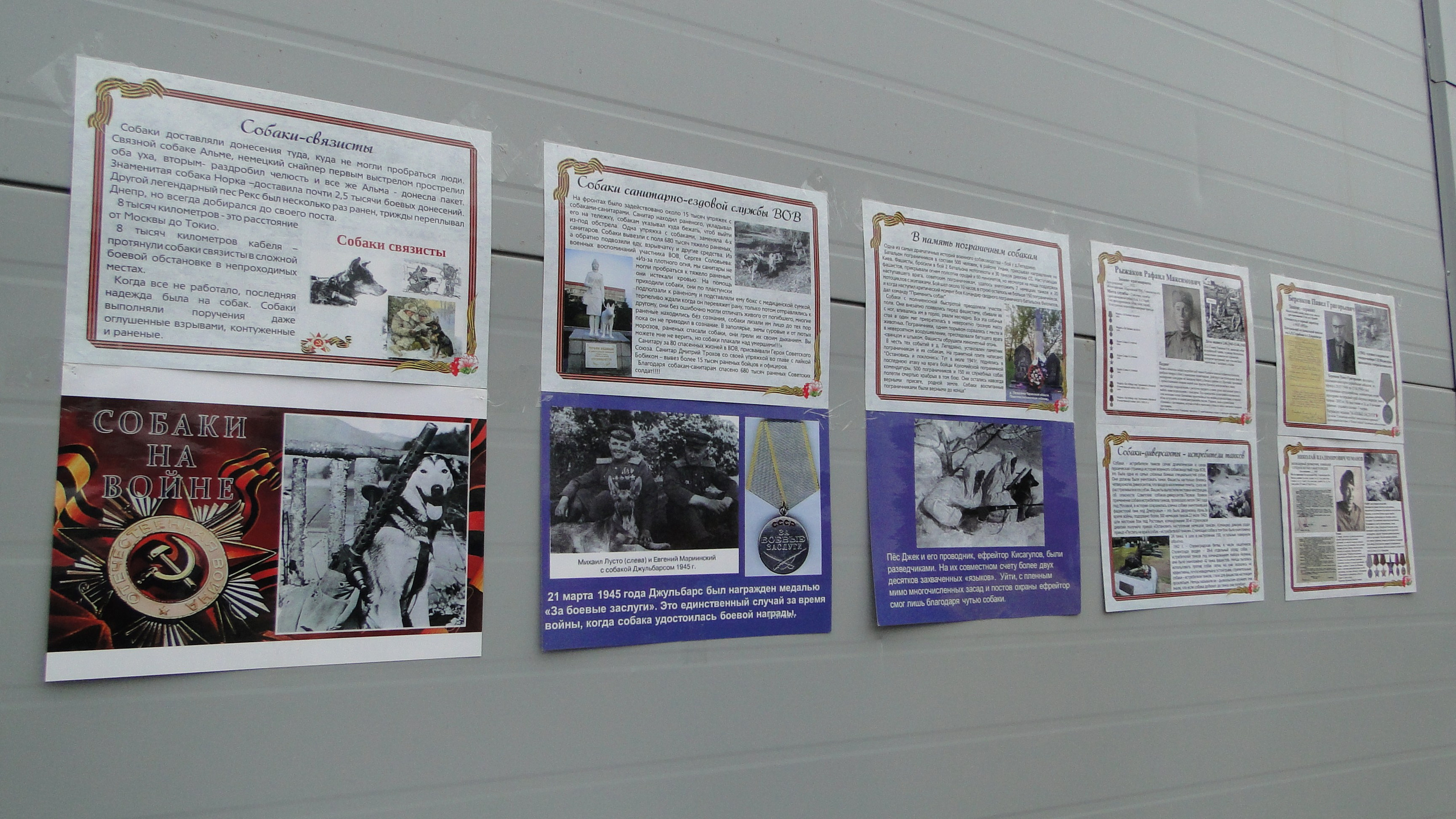 Кинологические старты. НРОО КЦ "Собаковод"