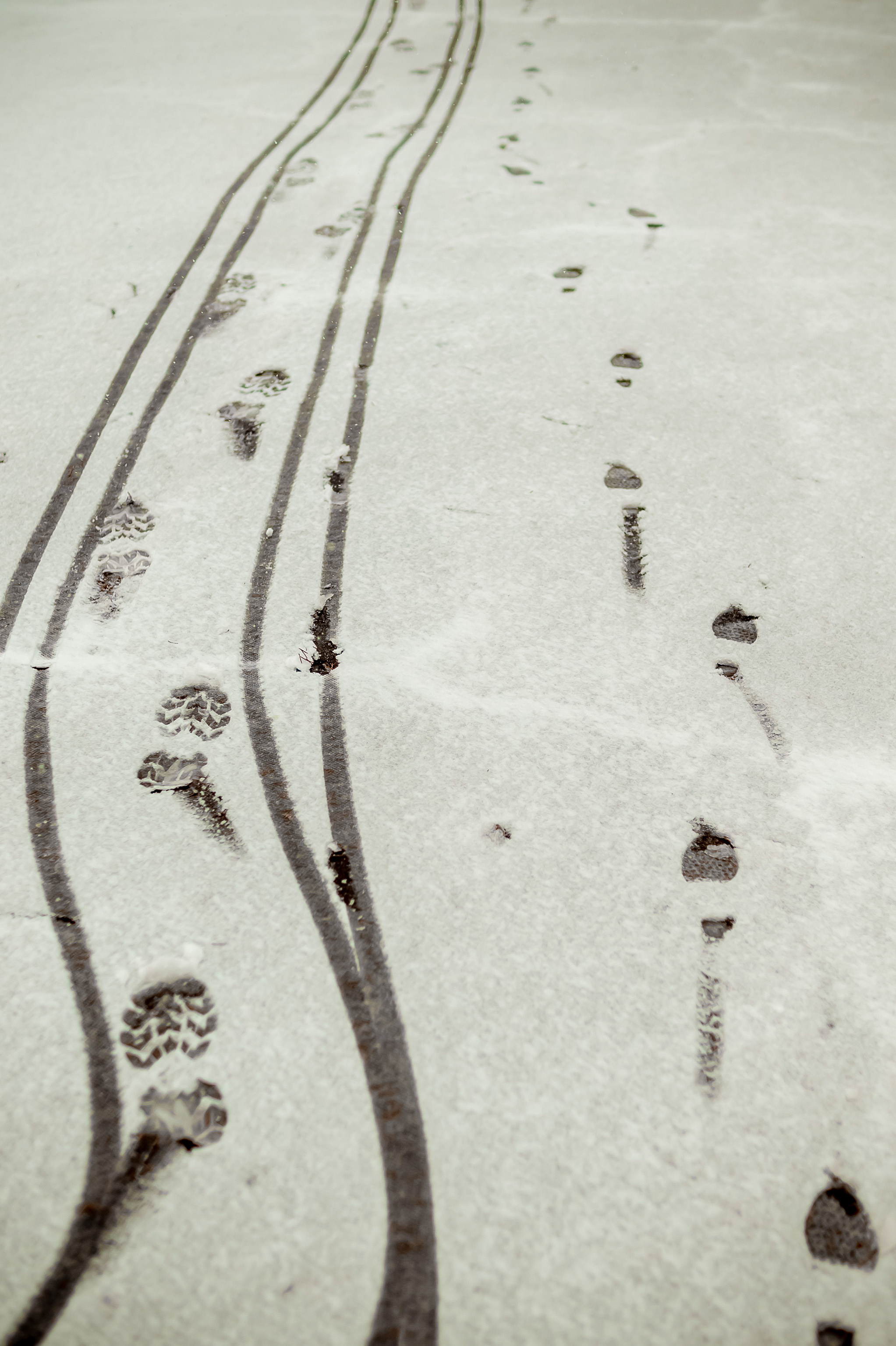 Фотосессия в зимнем ботаническом саду. Юлия Басня семейный и свадебный фотограф в Донецке