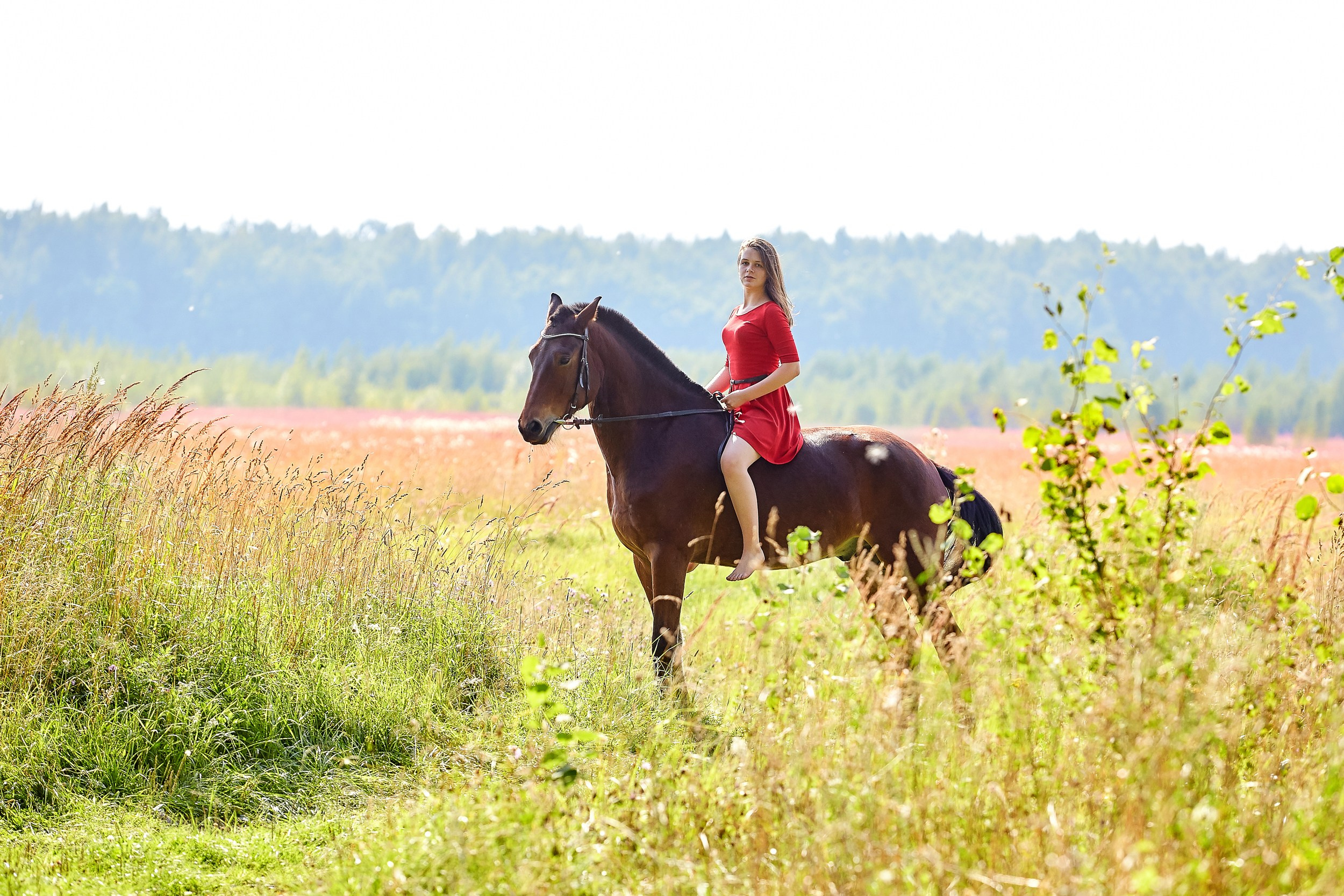 Фотосессия с лошадьми Фотограф Михаил Семенов, г. Ярославль