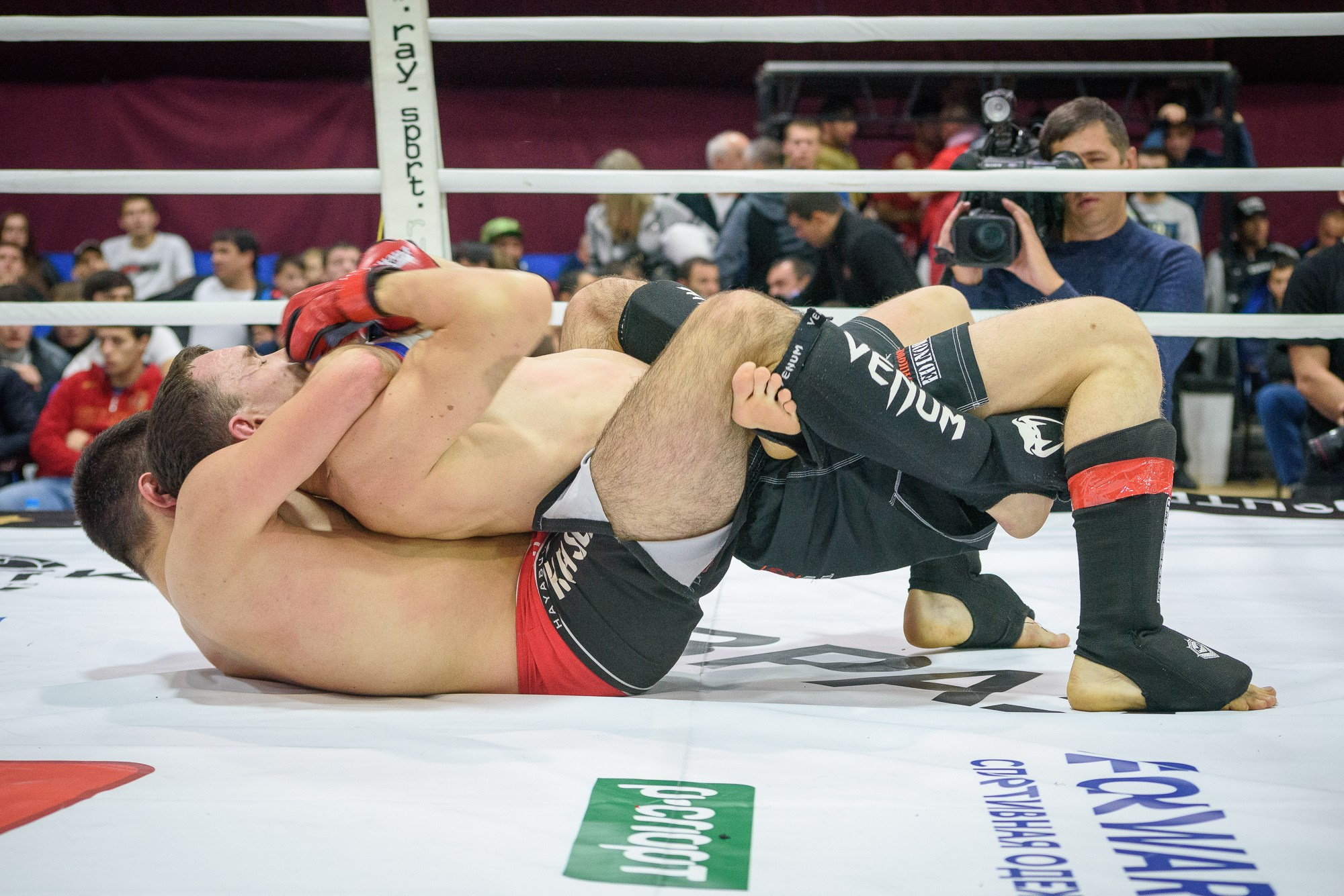 Кубок России по MMA. Репортажный и концертный фотограф в Волгограде Павел Панько