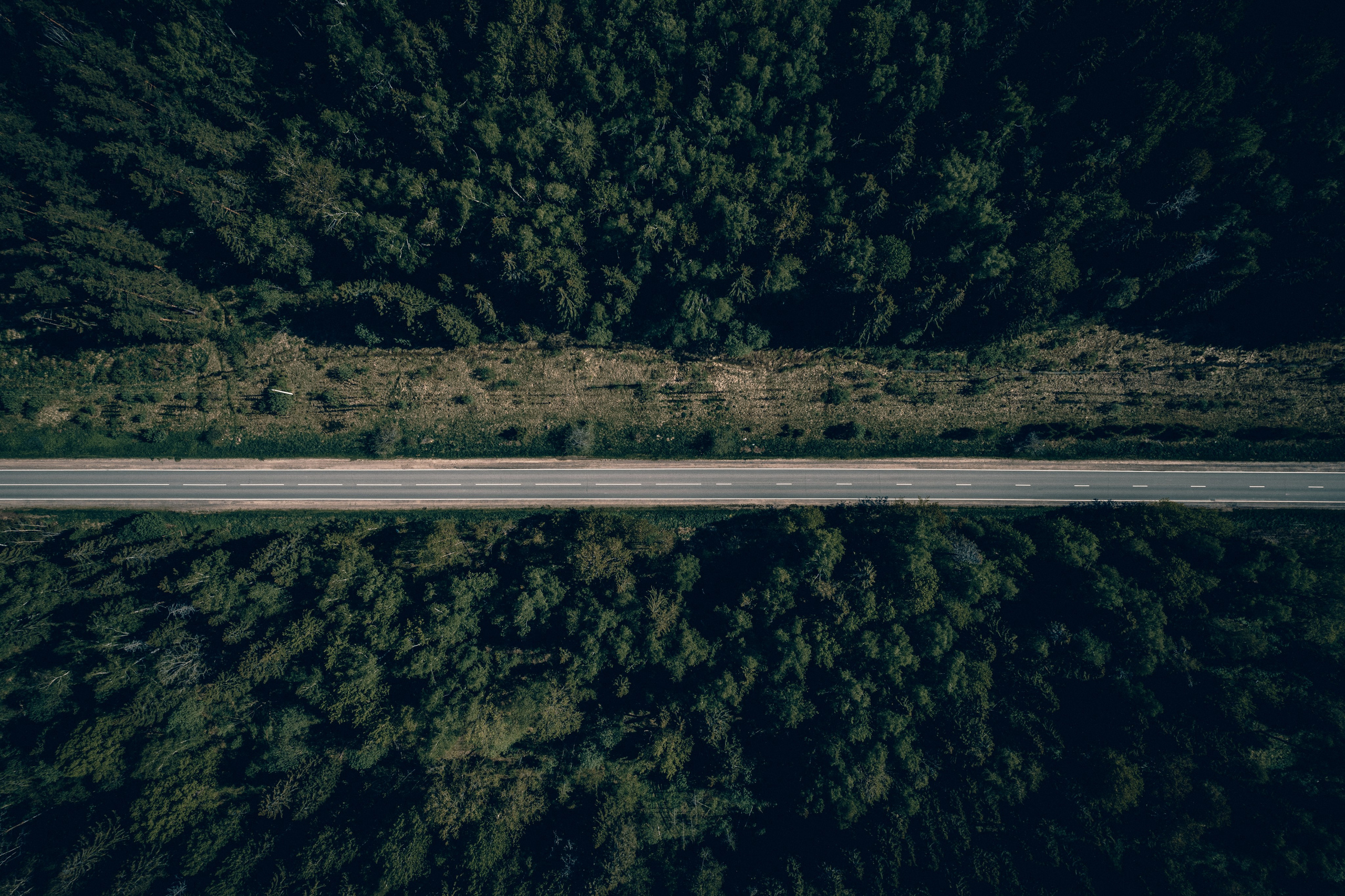 Видеография, полёты на дроне по живописным местам России!. Иван Кубик — фотограф и видеограф