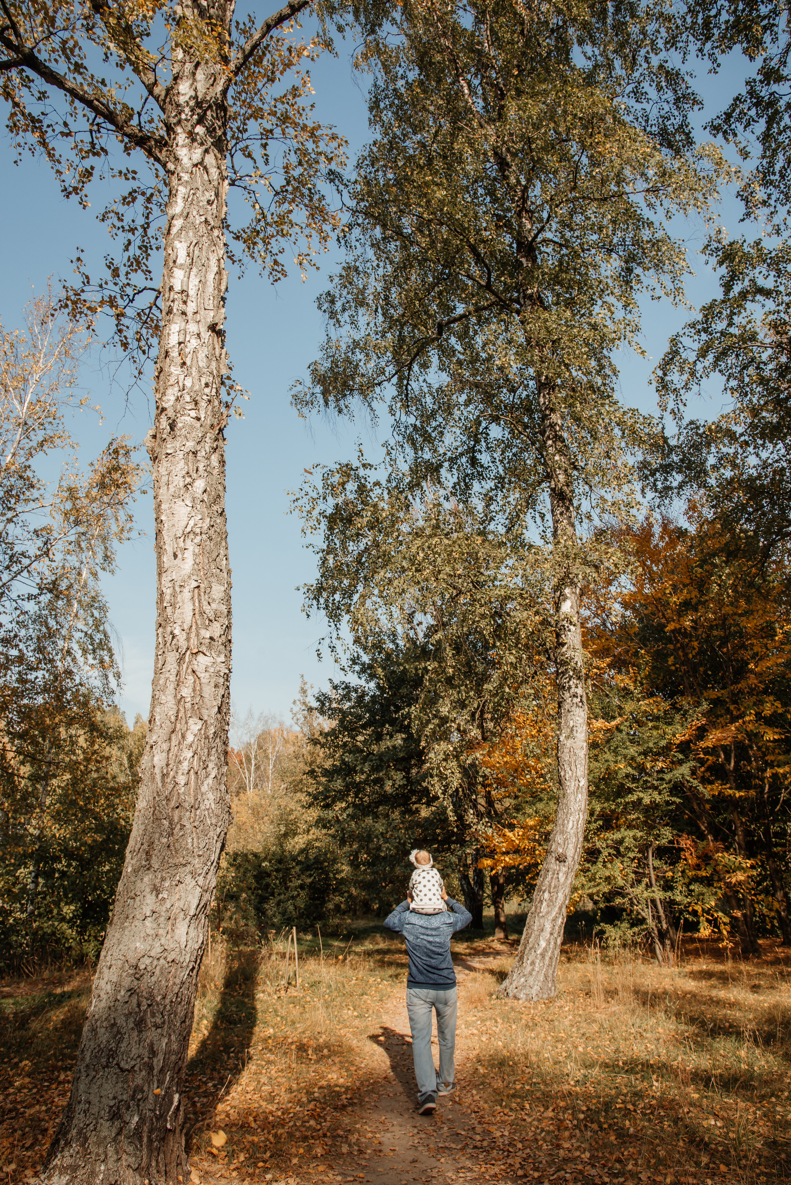 Фотопрогулка в Ботаническом саду. Свадебный и семейный фотограф в Москве Елена Брюханова