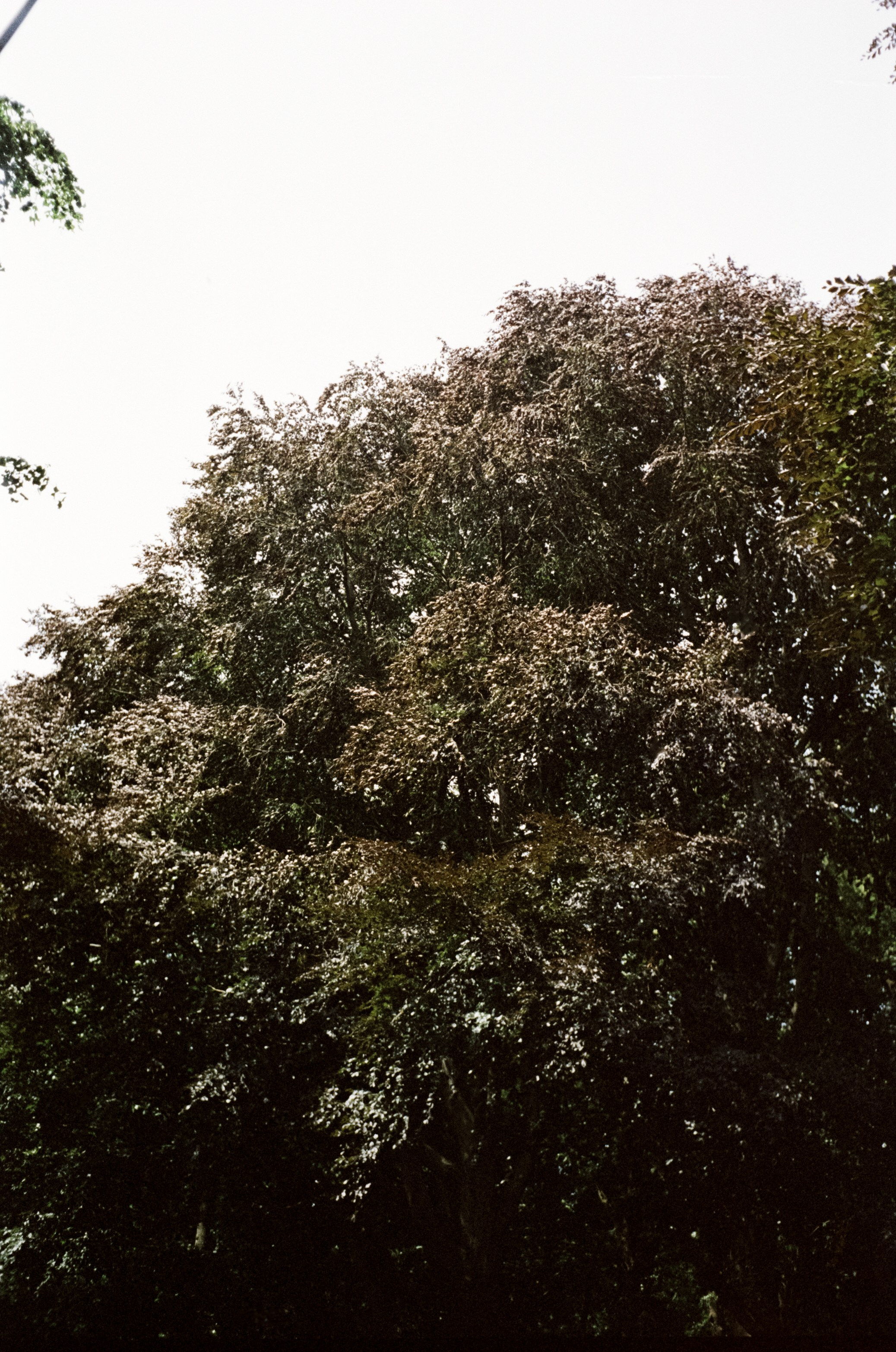 29 и 30 июня / Светлогорск и Янтарный / Minox 35 GT (2)