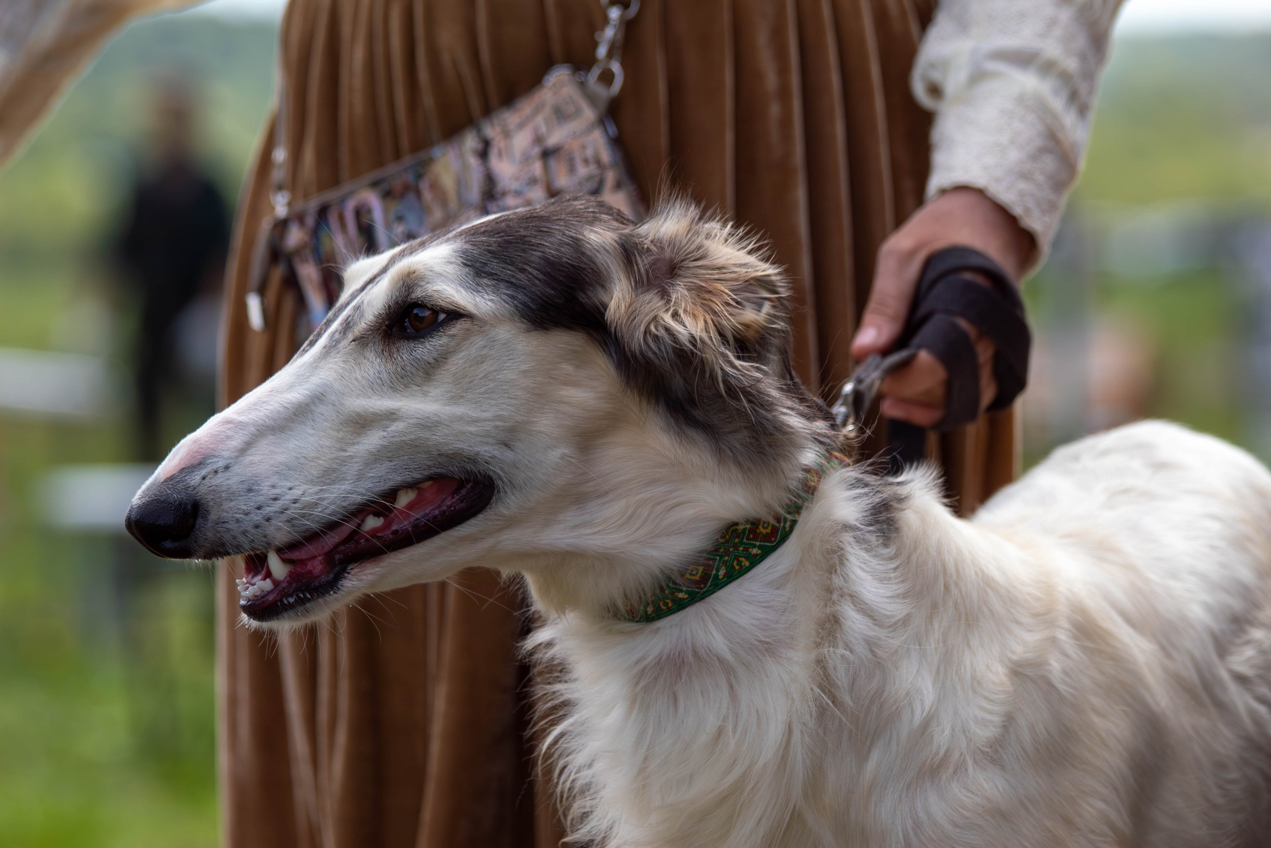 Охота как искусство Ясная поляна. Фотограф анималист — Тула, Москва
