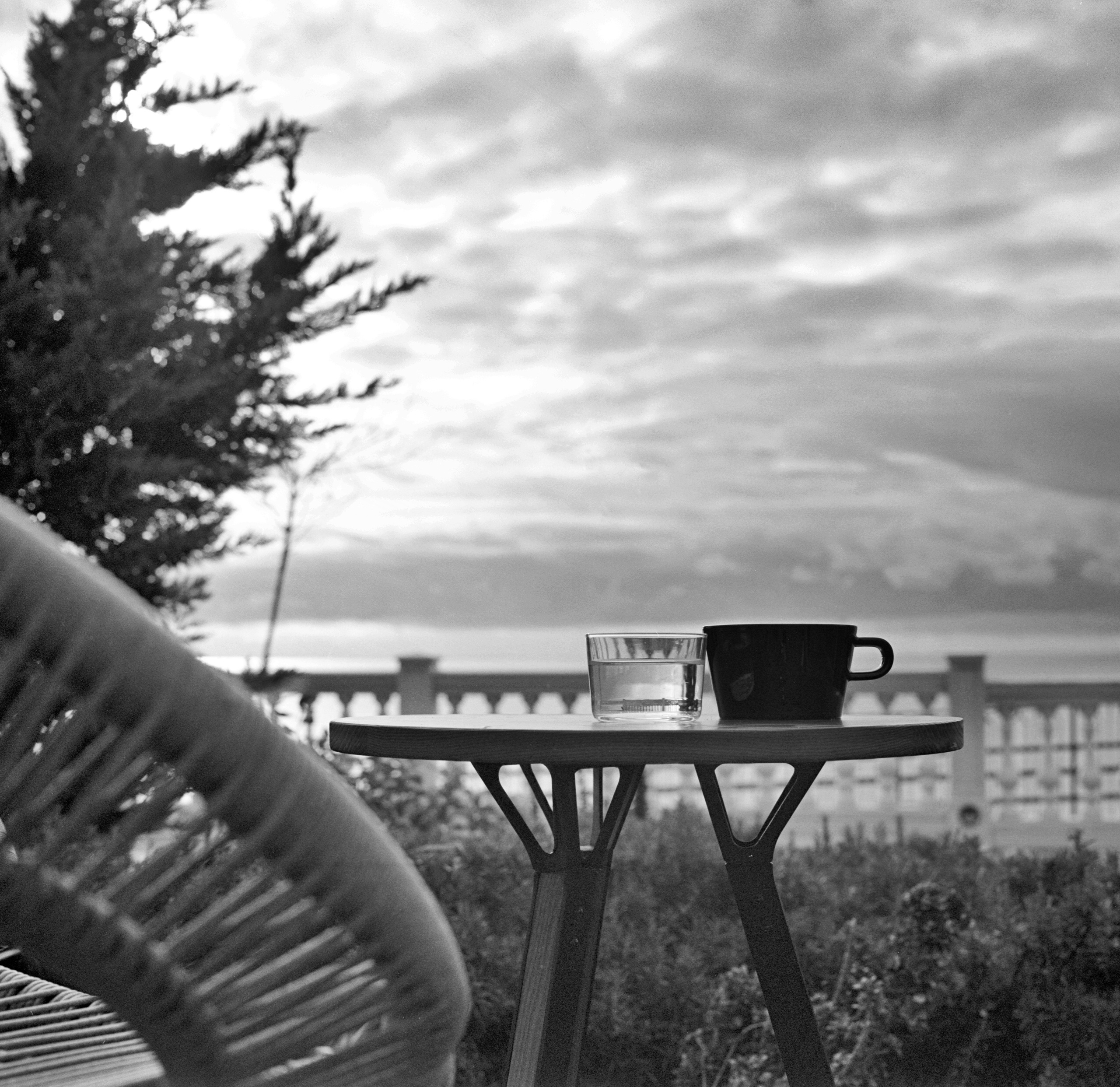 Альбом «Библиотека кофе» г. Анапа. Проект «Проявленные в кофе»