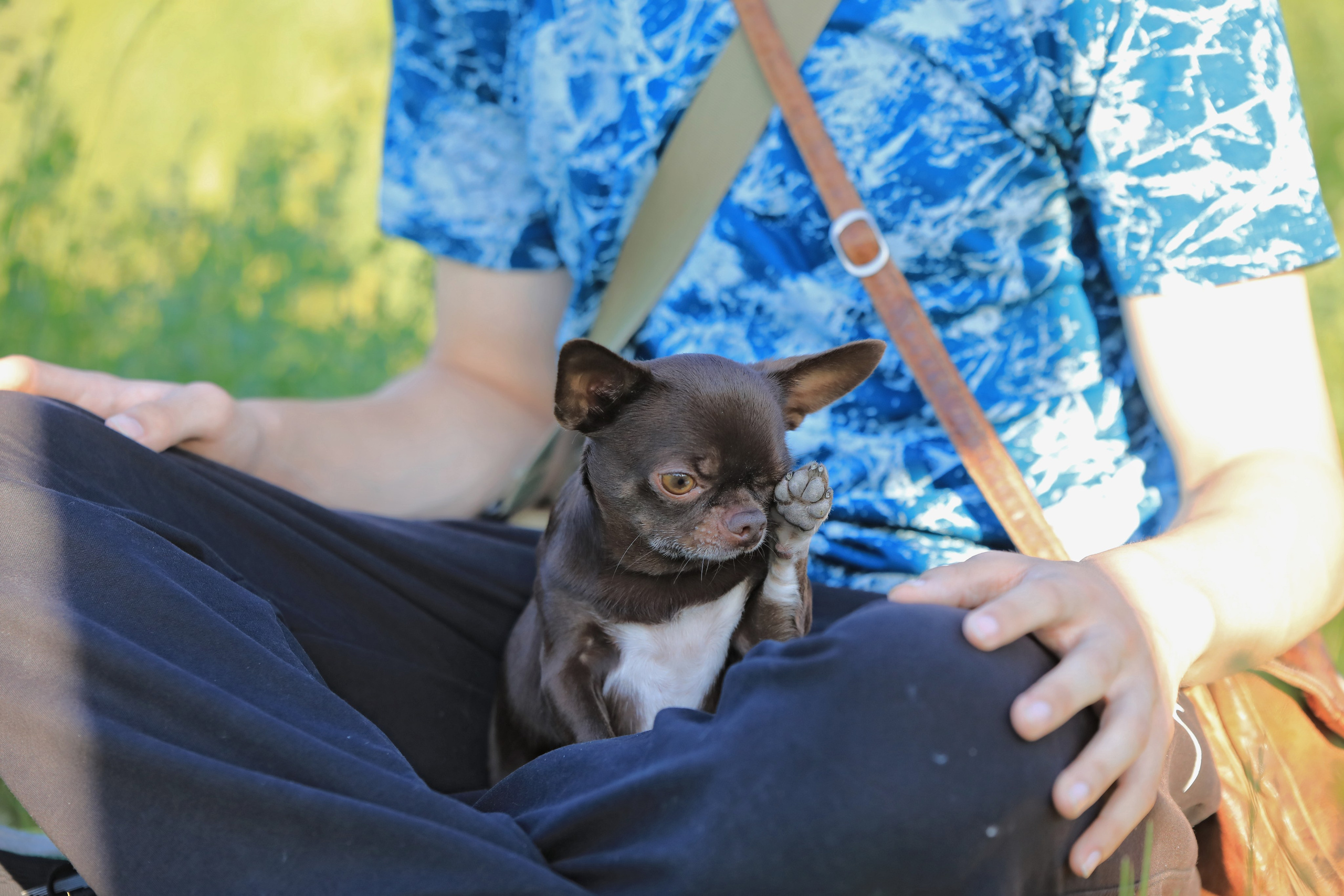 Фотограф-анималист, репортажный фотограф Олег Изотов
