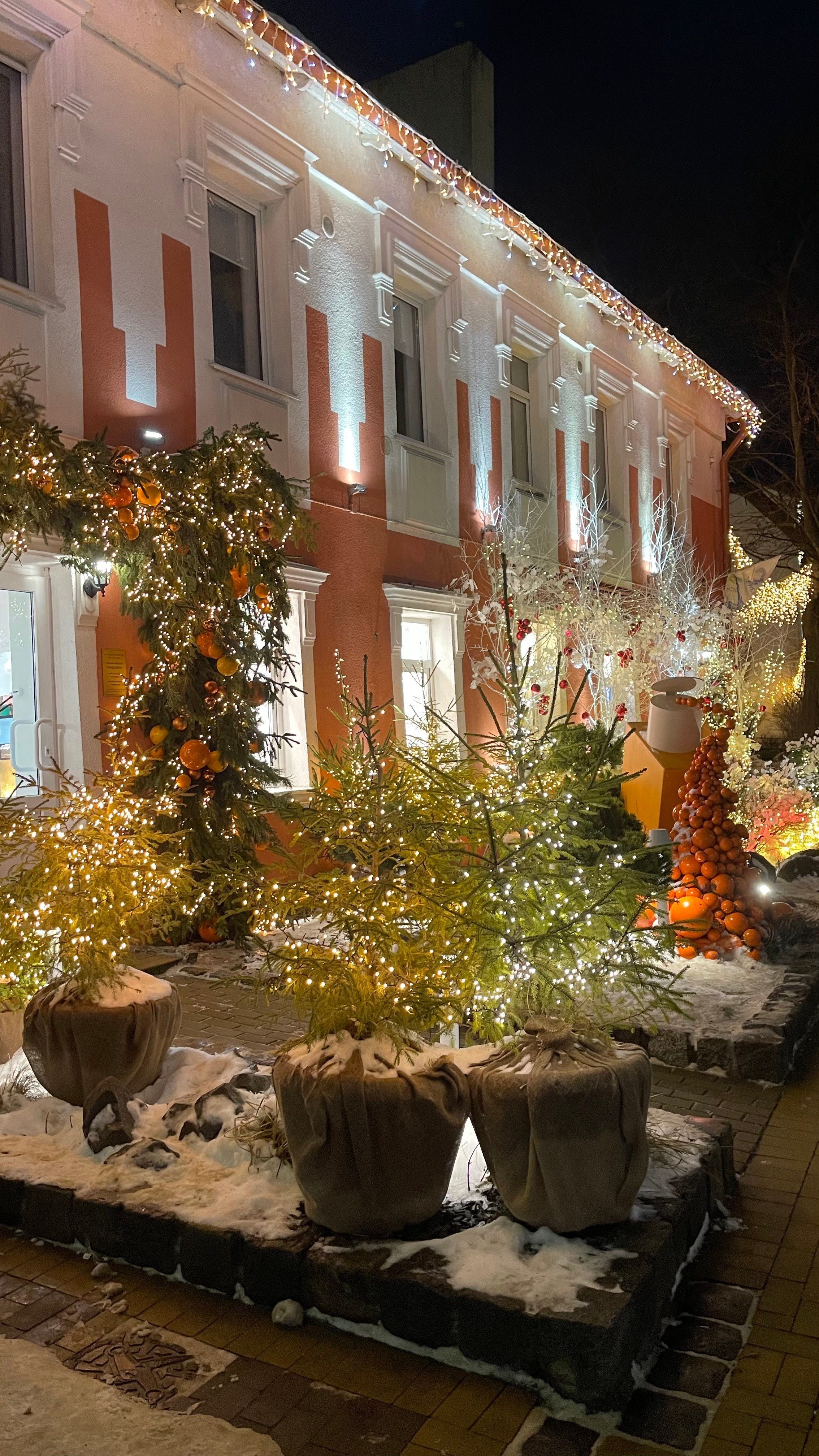 Ночной Зеленоградск