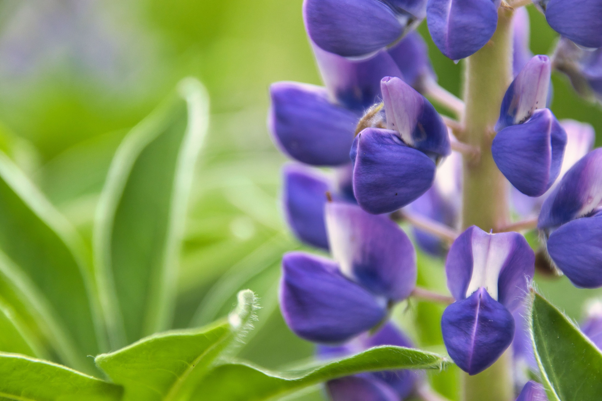 Фотограф в Санкт-Петербурге Георгий Елецких