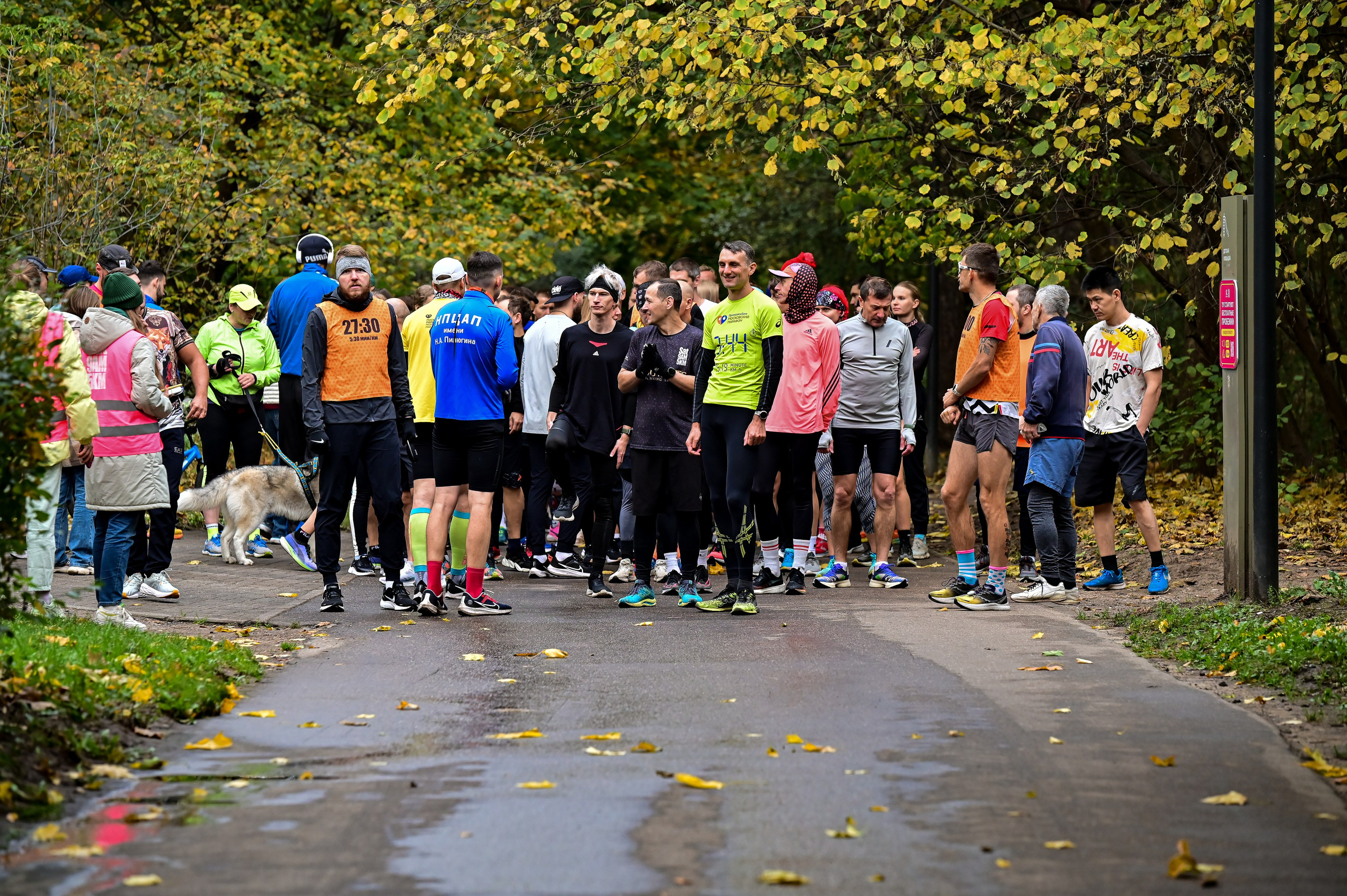 S95 Кузьминки Предмарафонский (12.10.24). Фотограф | Ирина Гамзинова | Москва