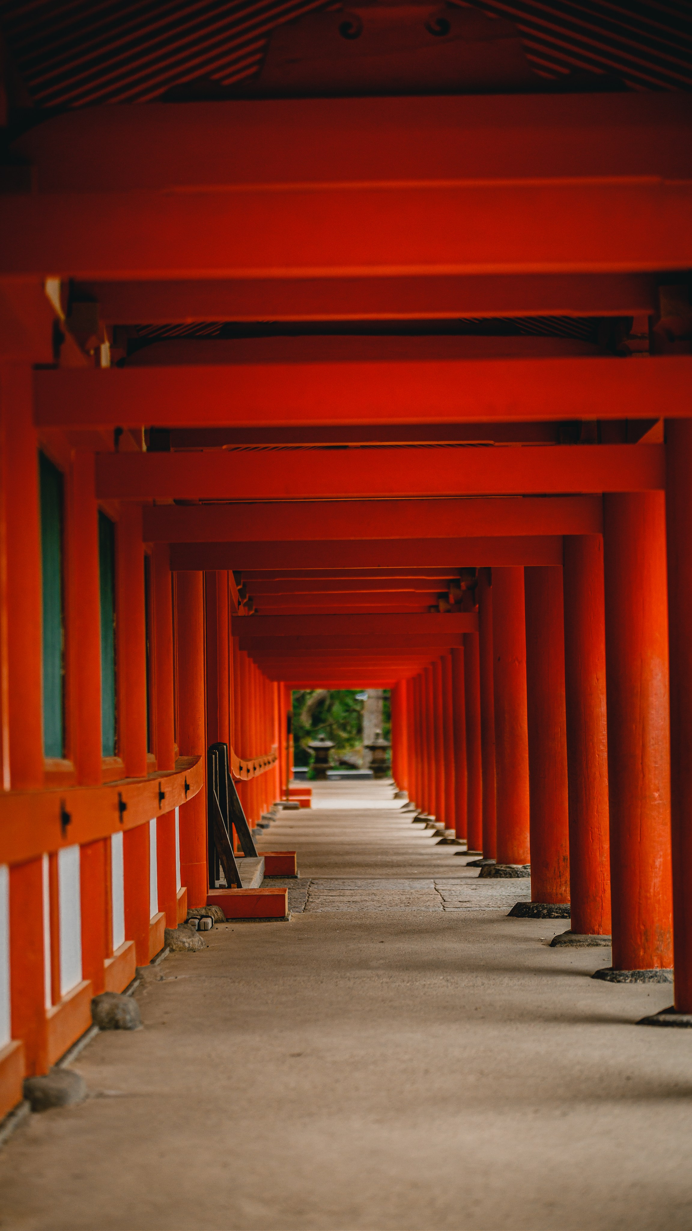Невероятная Япония: Сезон Цветение Сакуры. Свадебный и Студийный фотограф из Казахстана Артем Орлянский