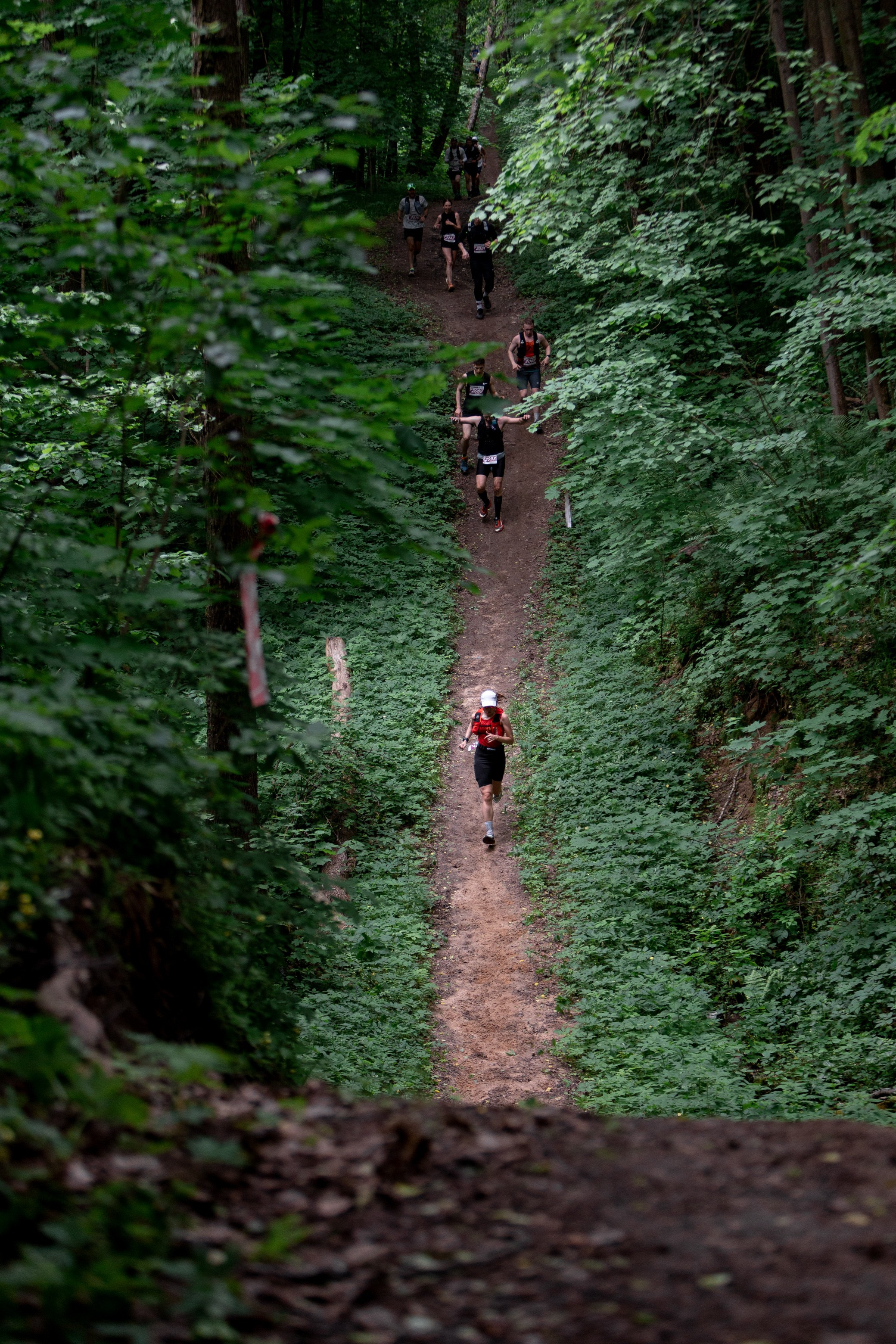 CityTrail Ромашково