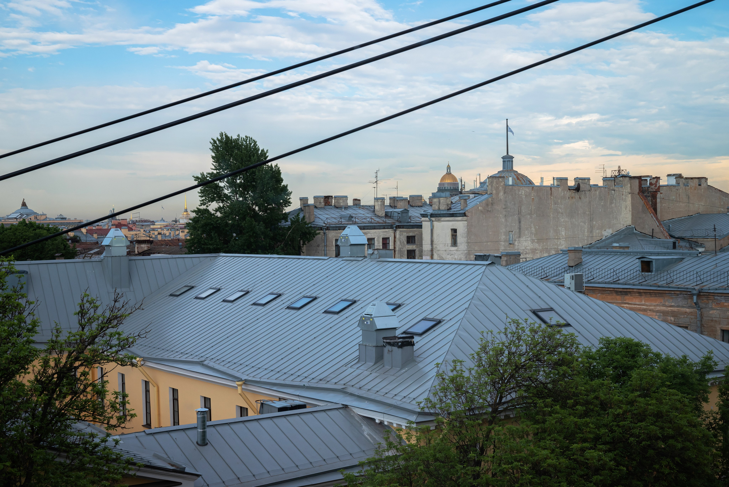 11 линия ВО. Главная