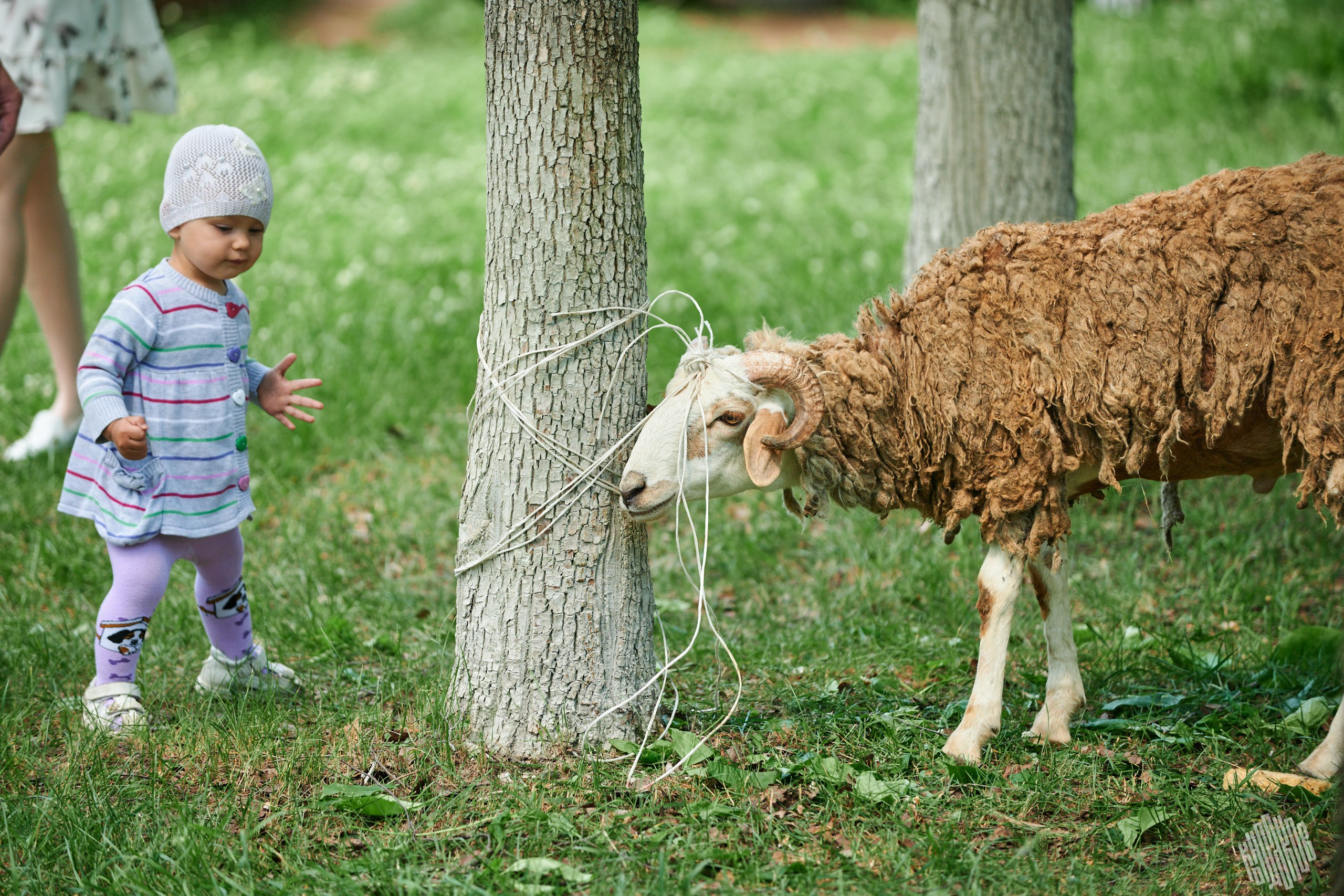 Сабантуй Иваново 2024. Фотограф в Иваново: Каталожная съемка одежды и постельного белья, Wildberries