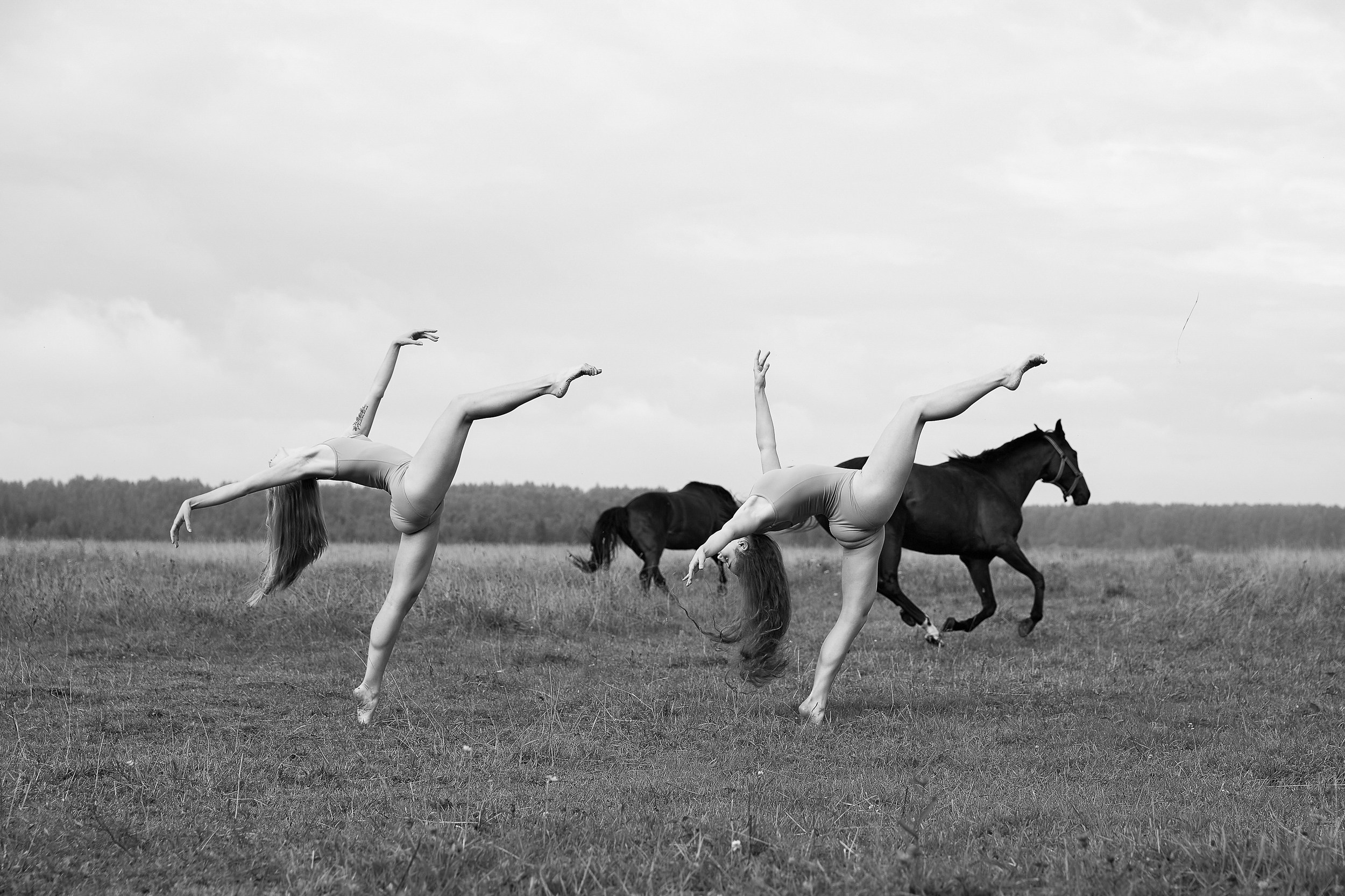 Балет и лошади, фотосессия «ГРАЦИЯ и СИЛА-1» Фотограф Михаил Семенов г. Ярославль