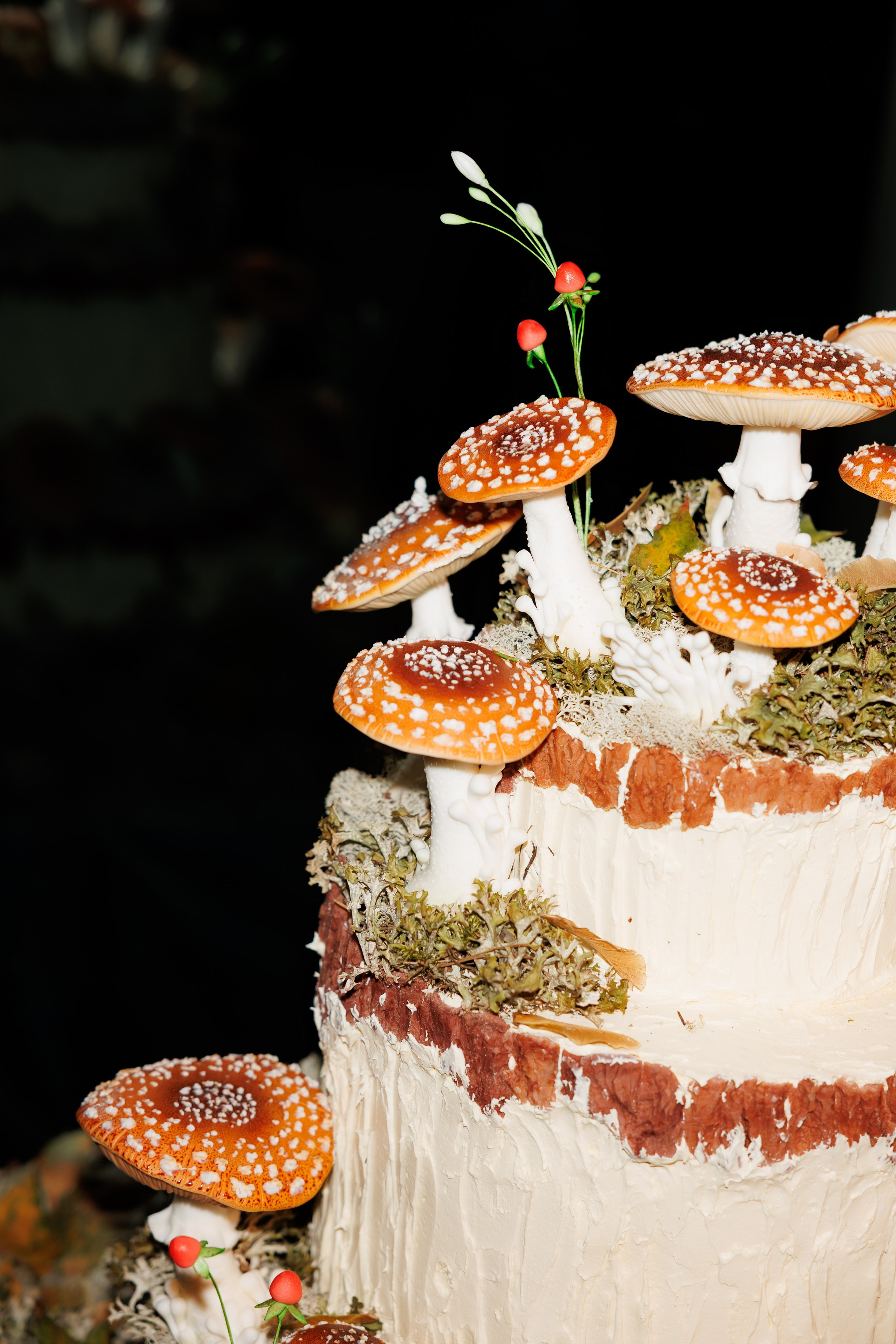 День Рождения ресторана «White Rabbit». «Птичка на проводе»: информационный портал в Москве