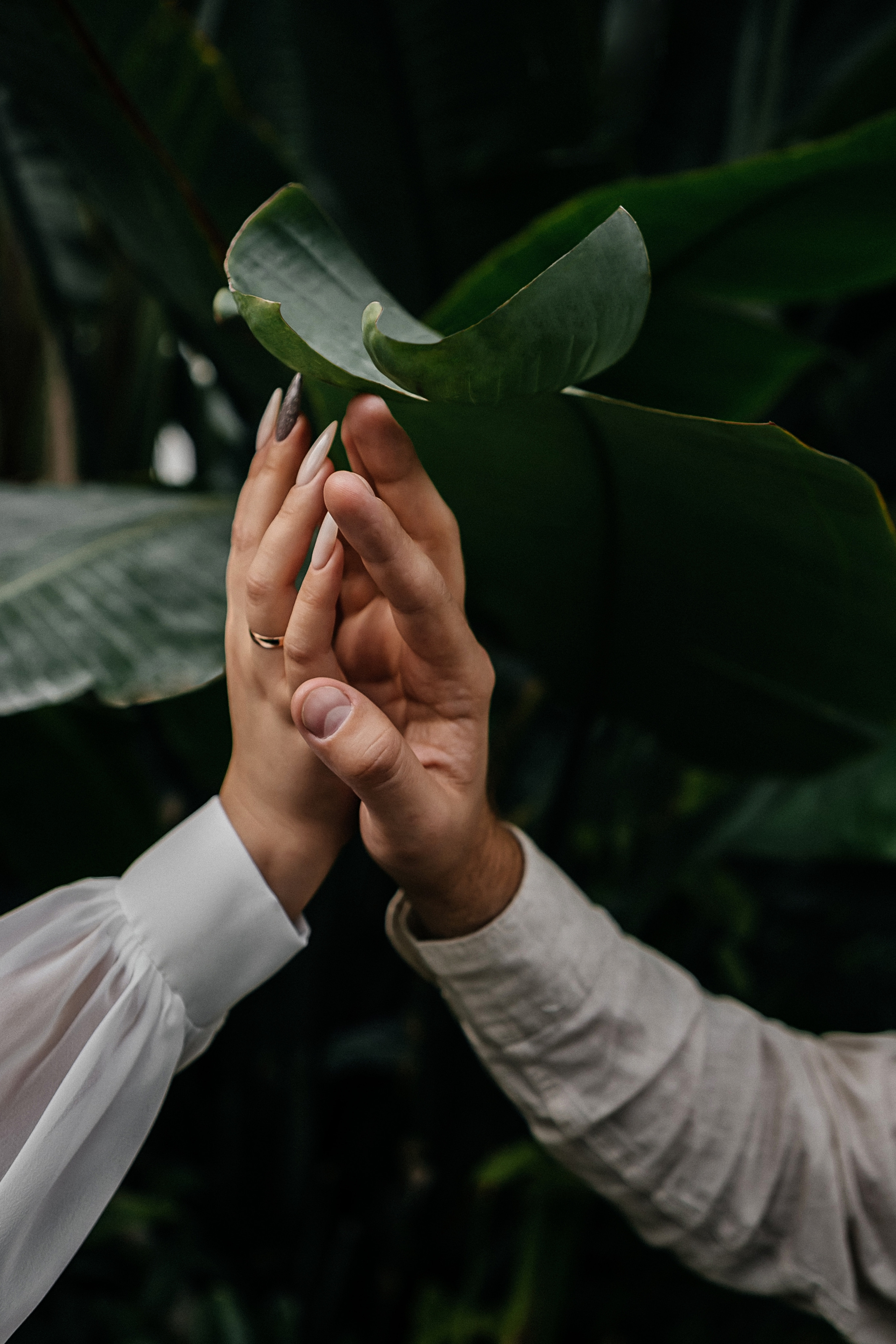 Свадьбы. Свадебный и семейный фотограф Елена Иштулкина