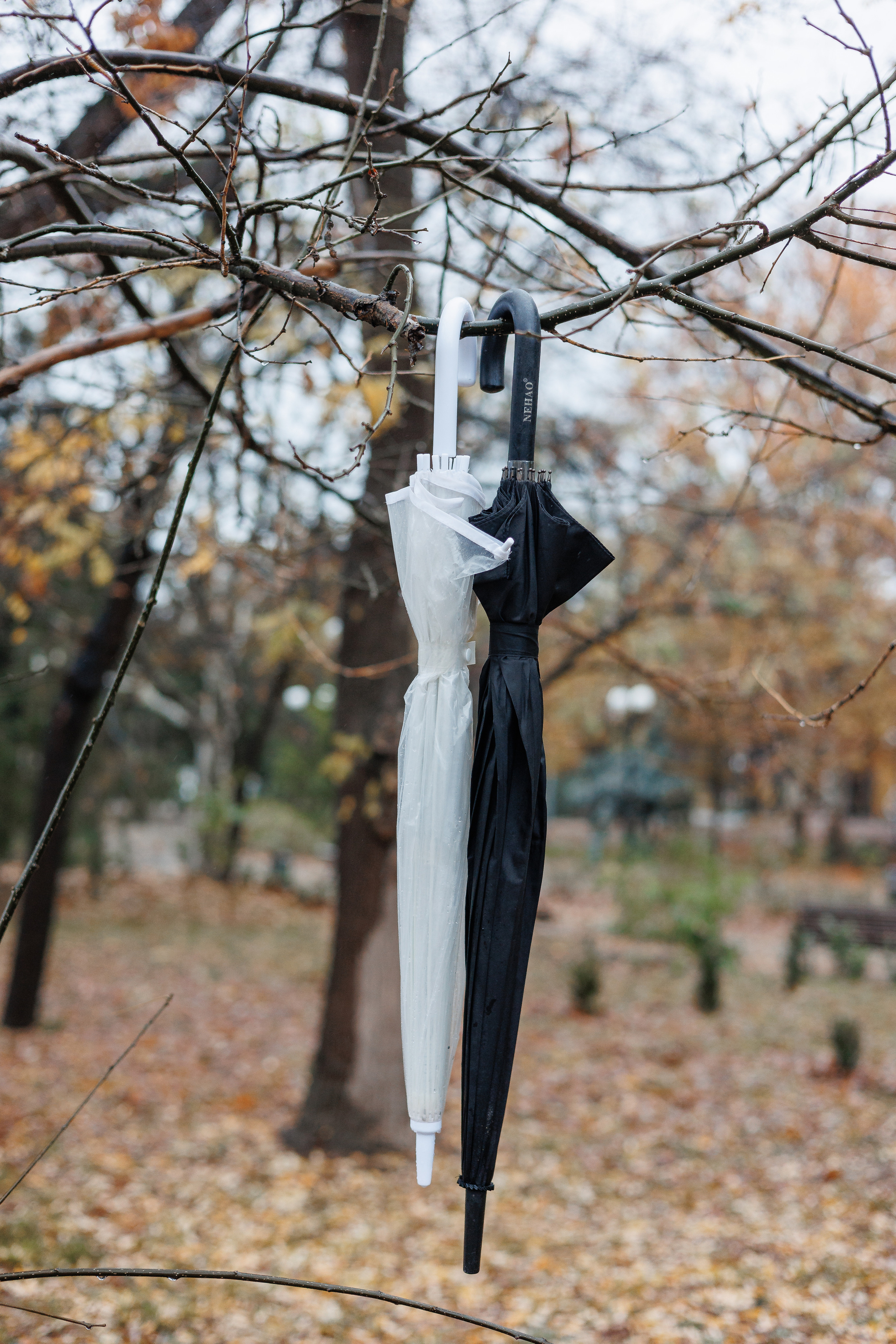 Свадьба в дождливый день. Анонс для Владлены и Никиты. Свадебный фотограф в Крыму и Севастополе Ольга Баскакова