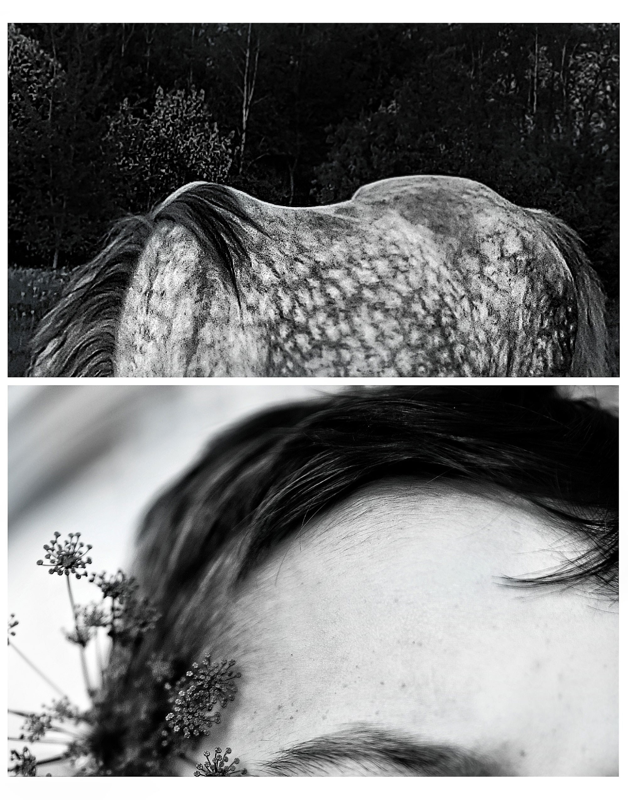 Connections (2020-2023). Tatyana Mazok creative photographer in Minsk