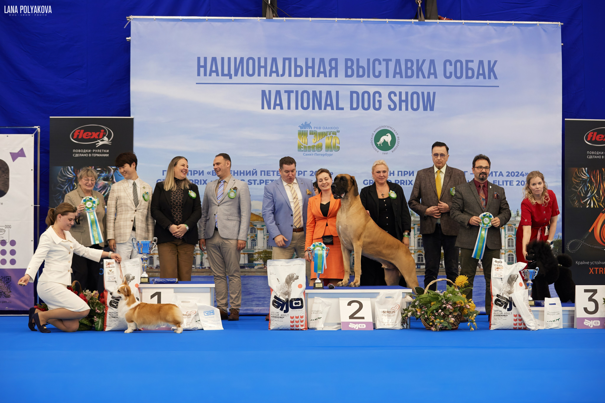 NDS GRAND PRIX «SPRING PETERSBURG 2024» «ELITE-PETERSBURG 2024». ФОТОГРАФ-АНИМАЛИСТ l LANA POLYAKOVA