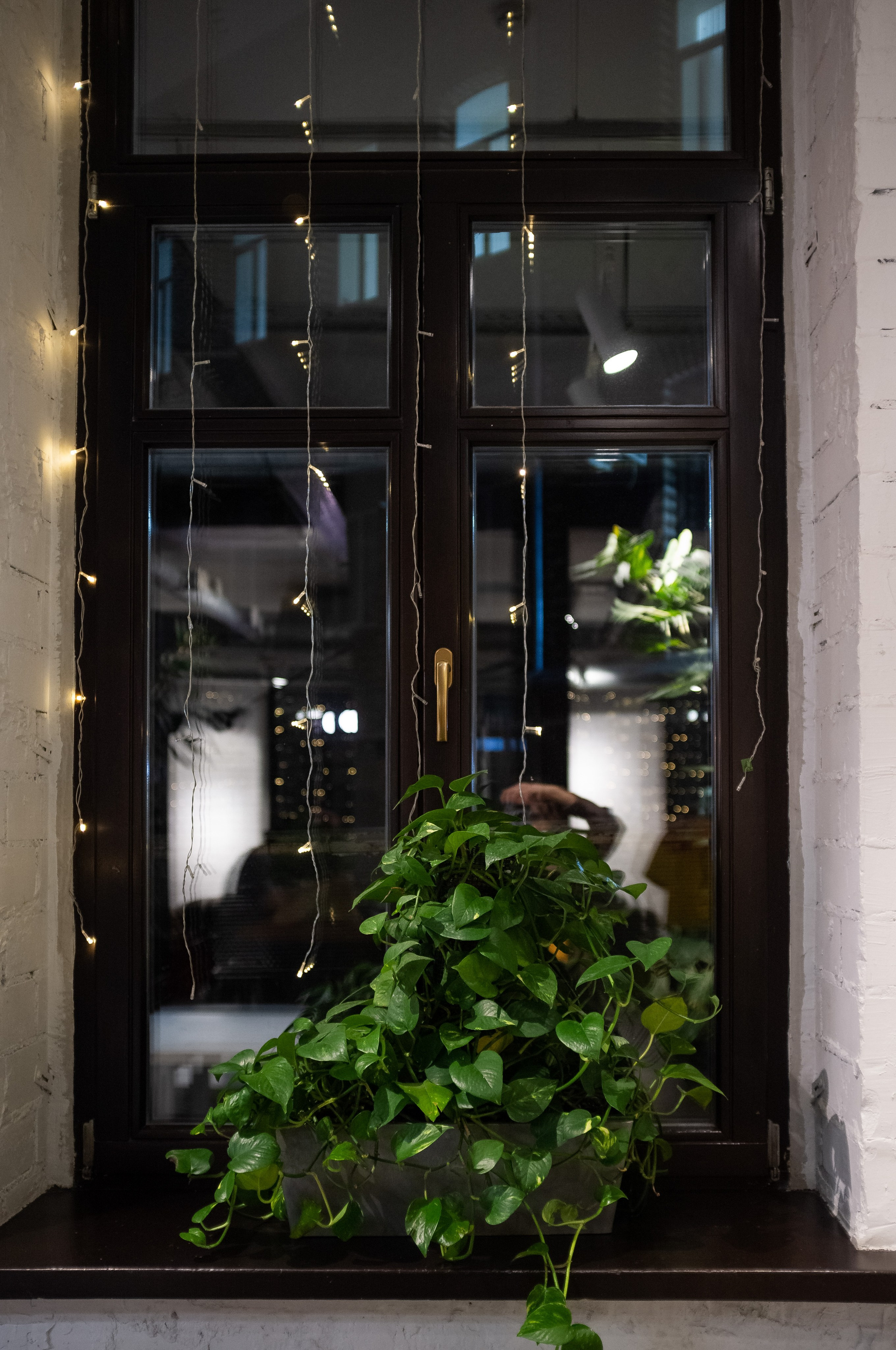 Skuratov coffee. Канун Нового года. Искусство фотографии. Мария Осокина