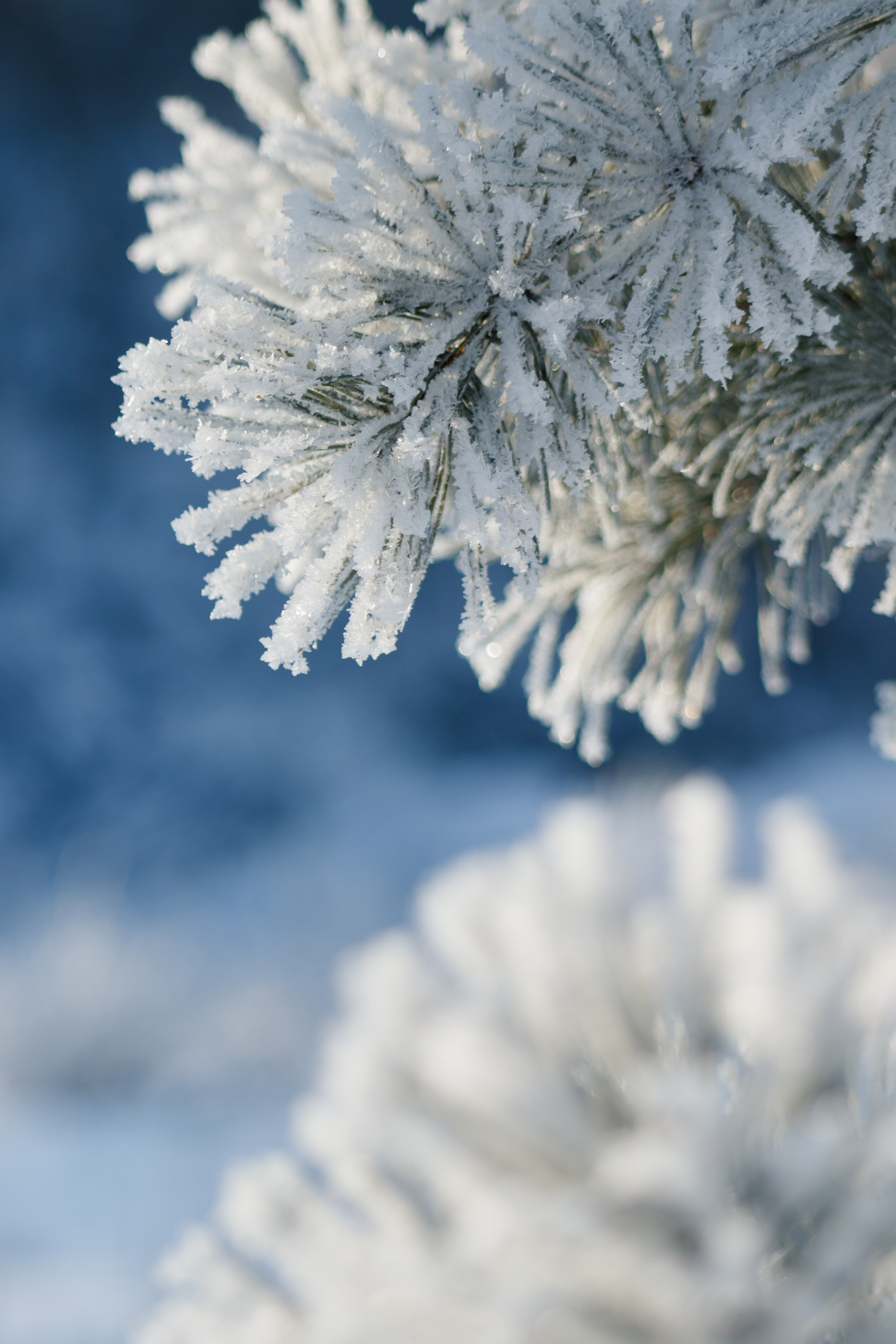 Подберу кадр под ваш интерьер и настроение. Фотограф Кирилл Мешков Кемерово