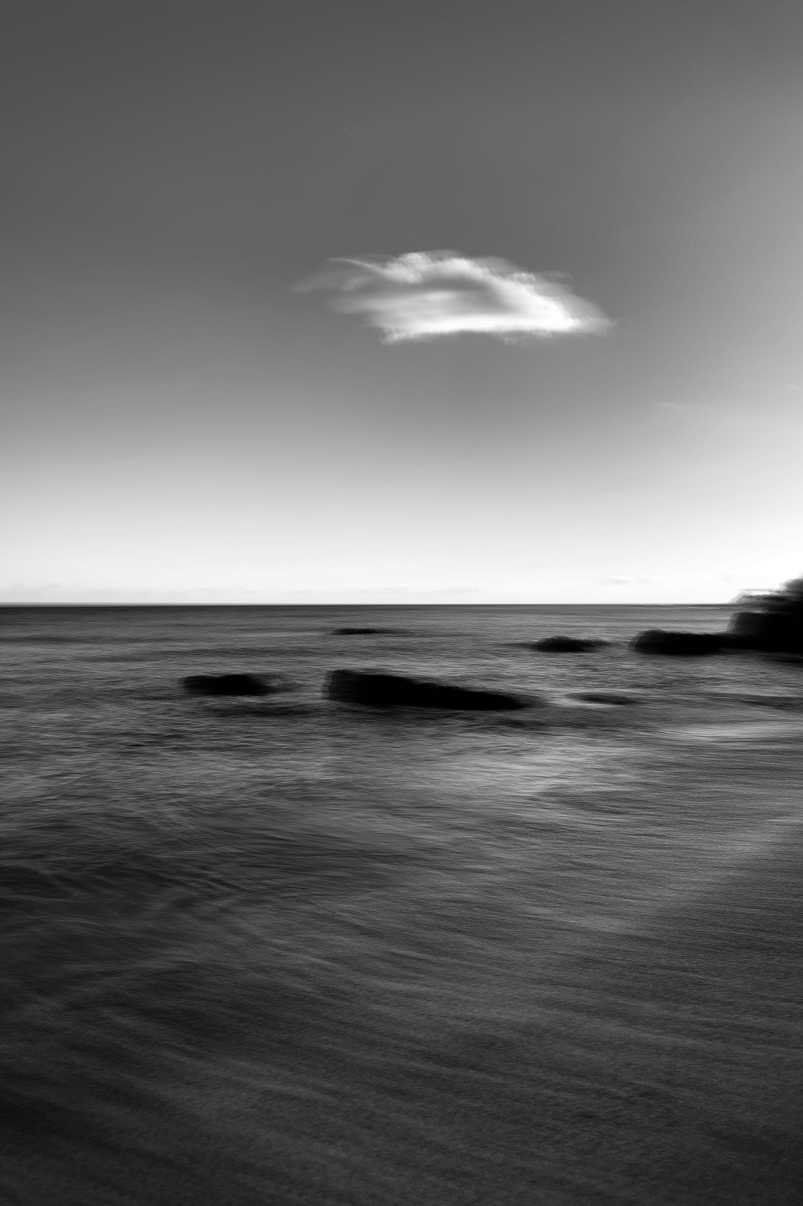 ВЫСТАВКА. Света ЧЕ. Мастер интеллектуальной фотографии. Краснодар