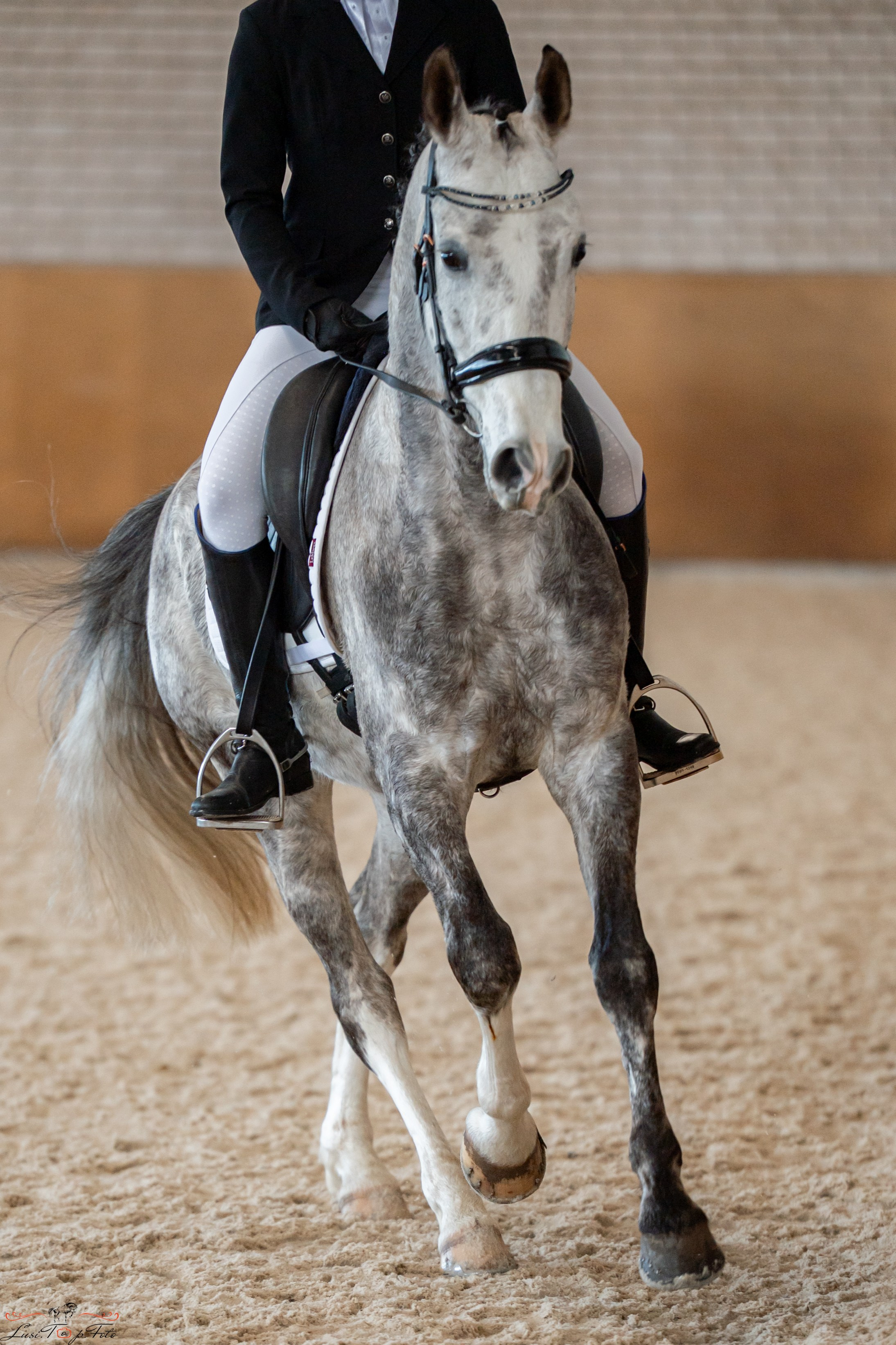 Эквипарк 6 этап Кубка Клубов. Конный и фотограф с животными в Твери Топталова Люся