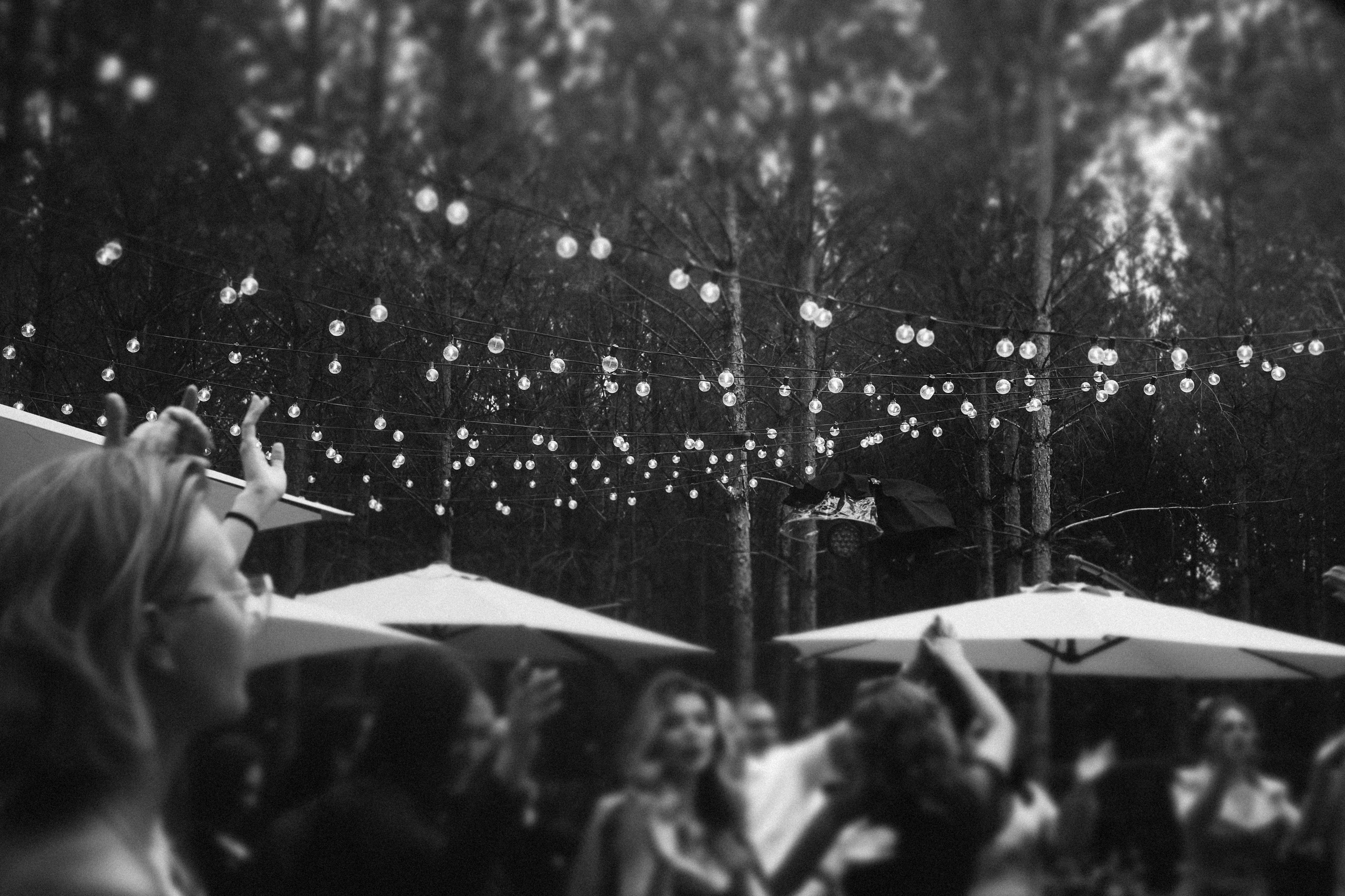 Свадьба в лесу Владислава и Светланы. Свадебный организатор Марина Корсакова, Барнаул, Бийск, Алтайский край, Горный Алтай, Новосибирск