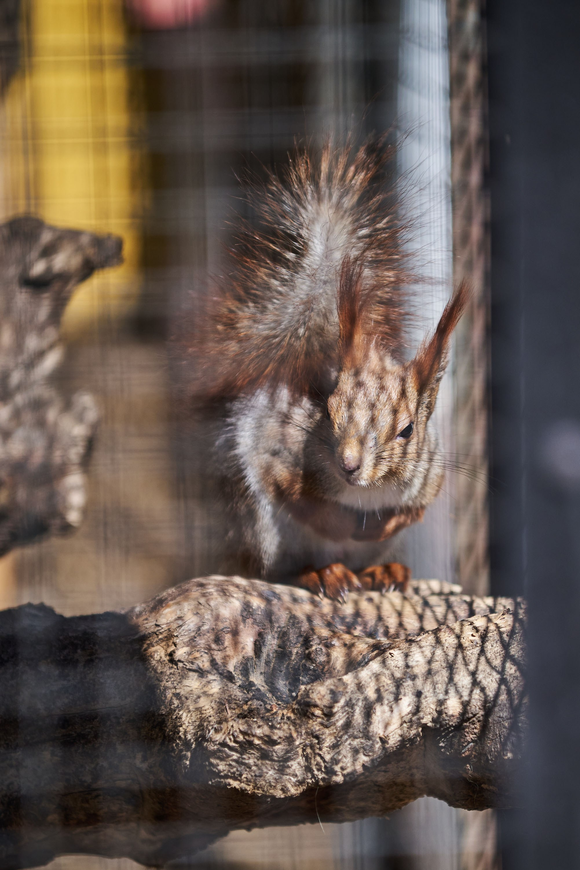 Зоопарк Иваново. Фотограф в Иваново: Каталожная съемка одежды и постельного белья, Wildberries