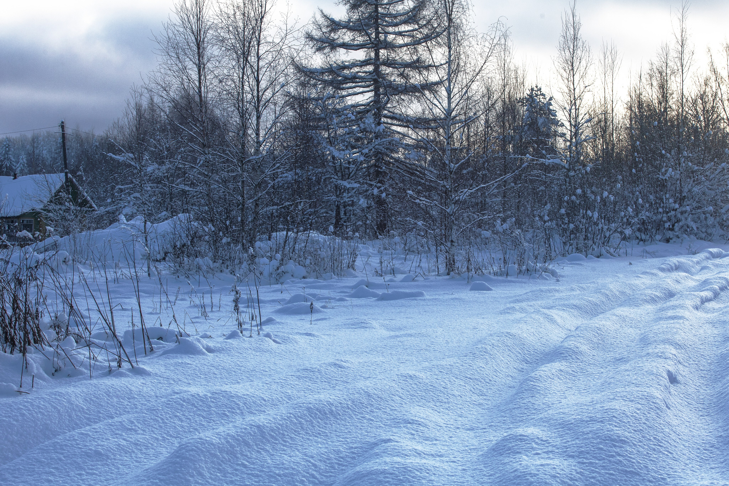 Фотопроект «Зима продолжается». Свадьбы, портретная, предметная съемка. Фотограф Александр К