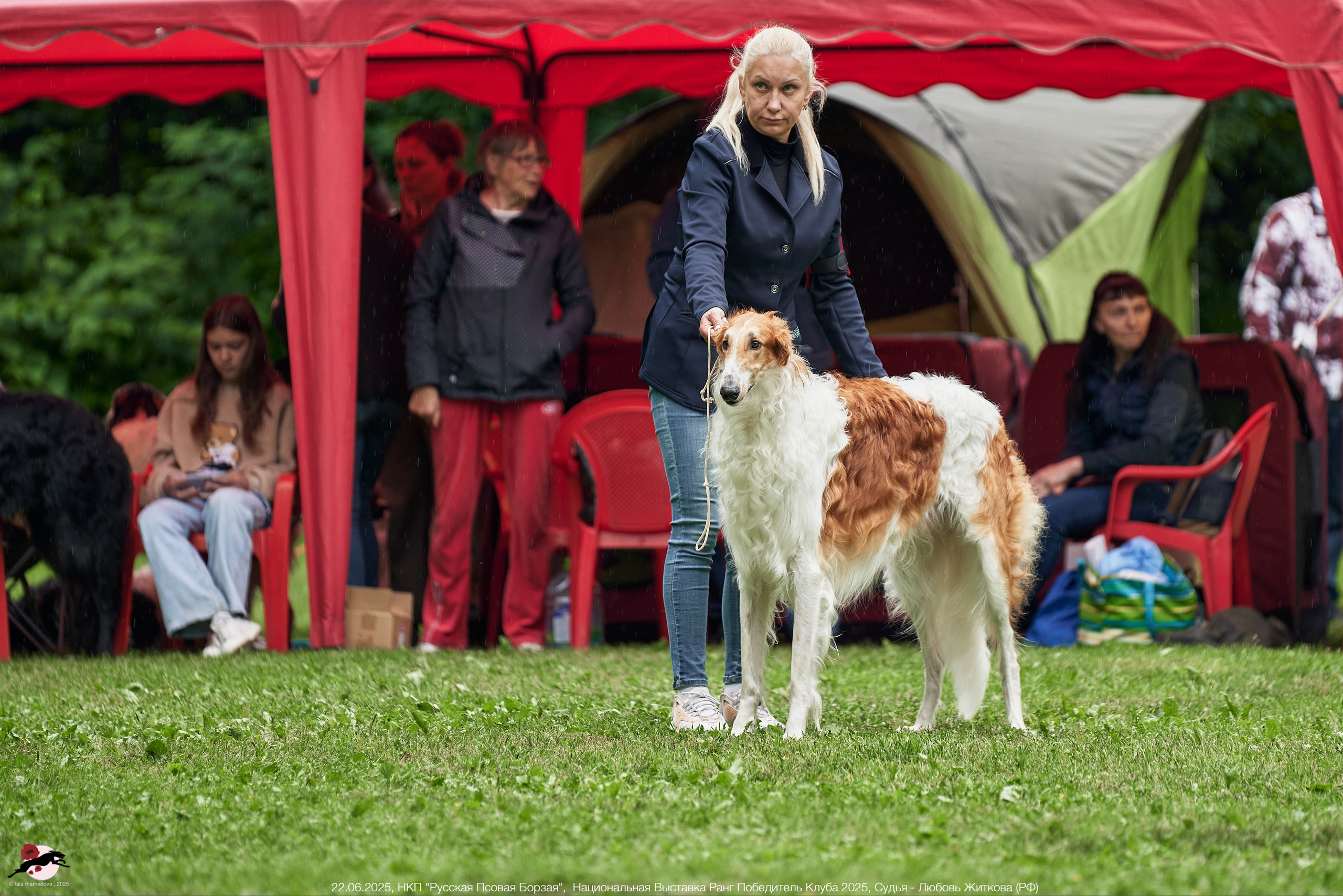 22.06.2025 | Национальная Выставка НКП "Русская Псовая Борзая"