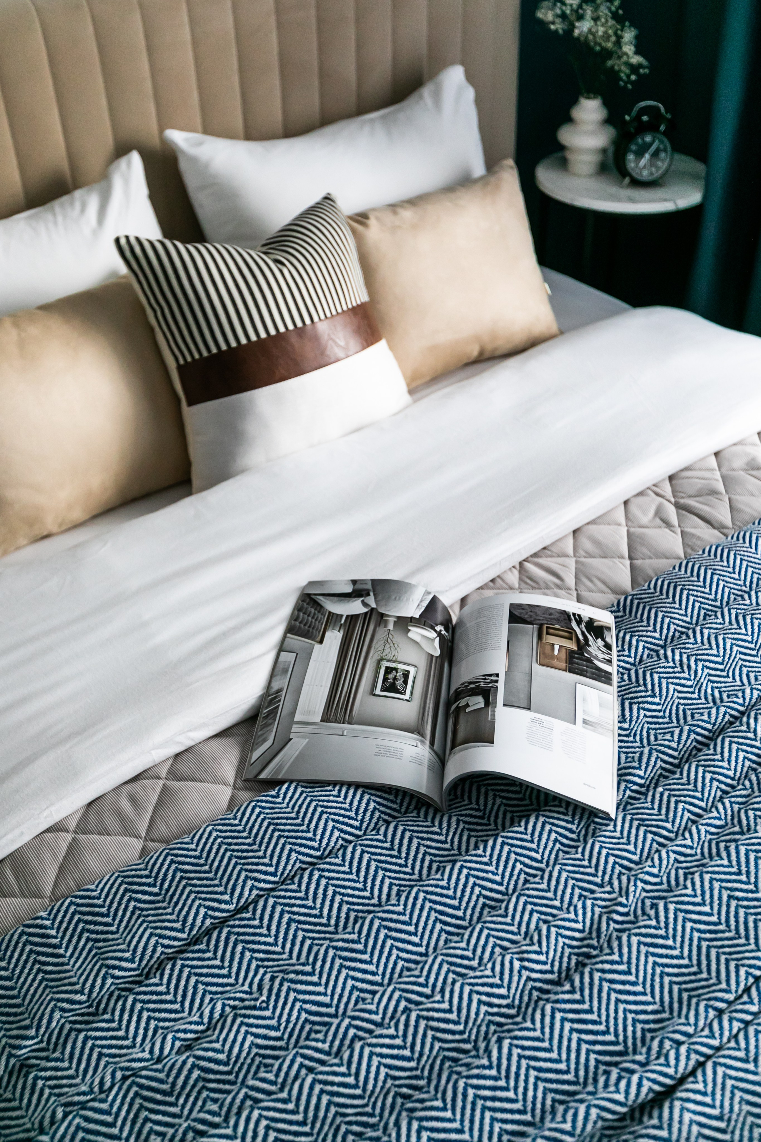 Стрижи. Главная