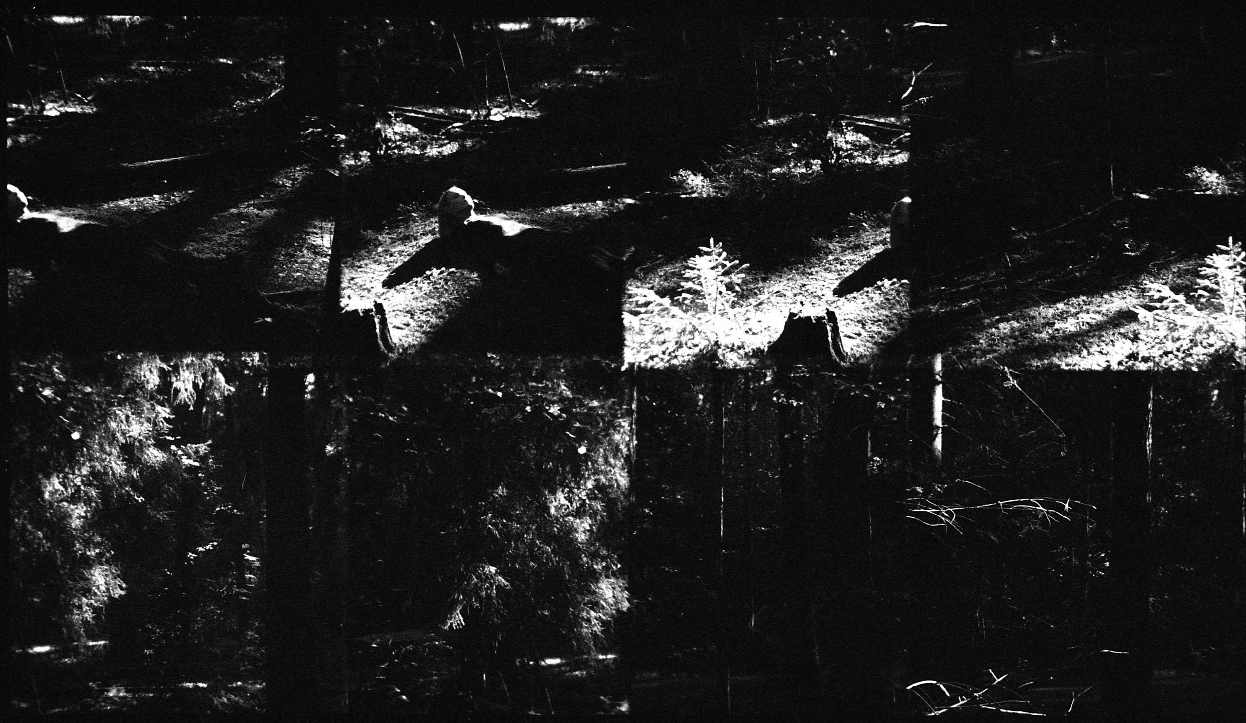 IN BETWEEN. Aleksandr Nariadchikov — Visual Artist & Game Designer