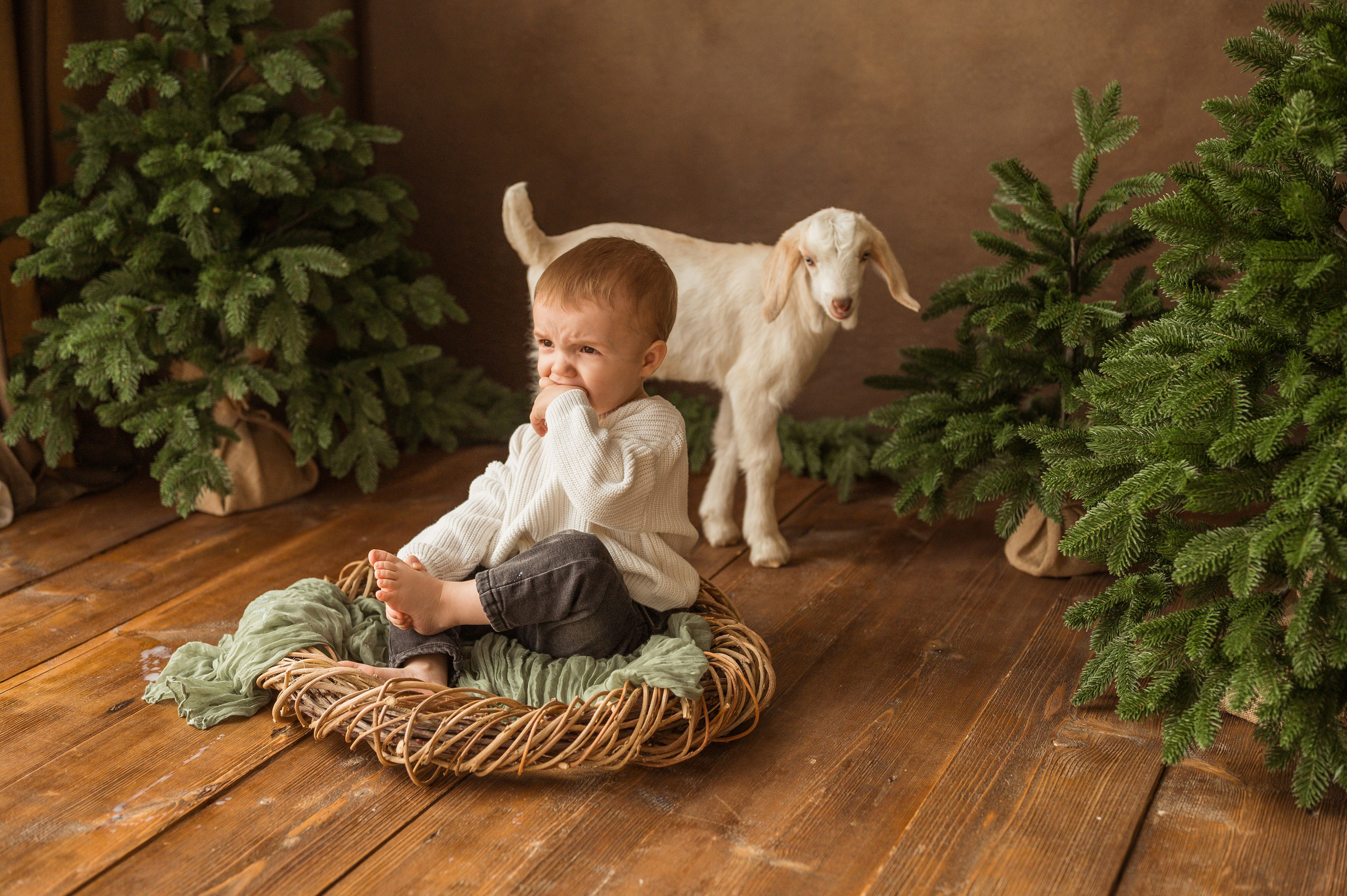 Данечка, Артем и козлик. Детский и семейный фотограф Ирина Гладких