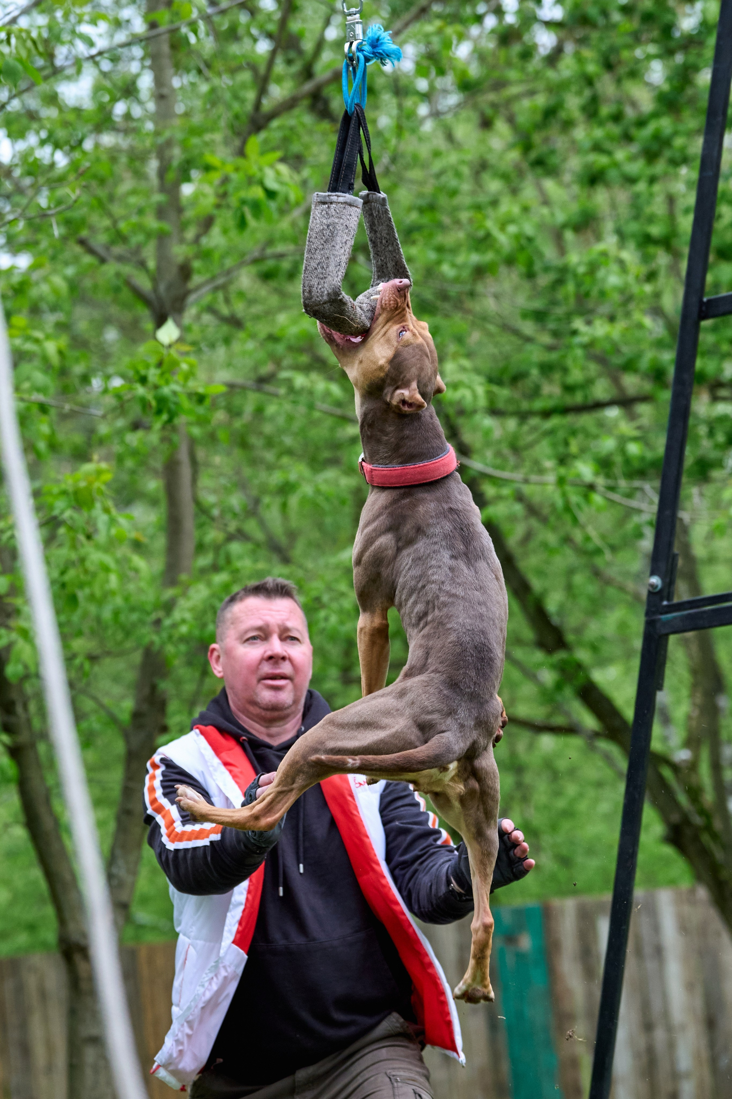 Фотосессия на площадке Jump'n'Gym. Фотограф-анималист Михаил Манухин