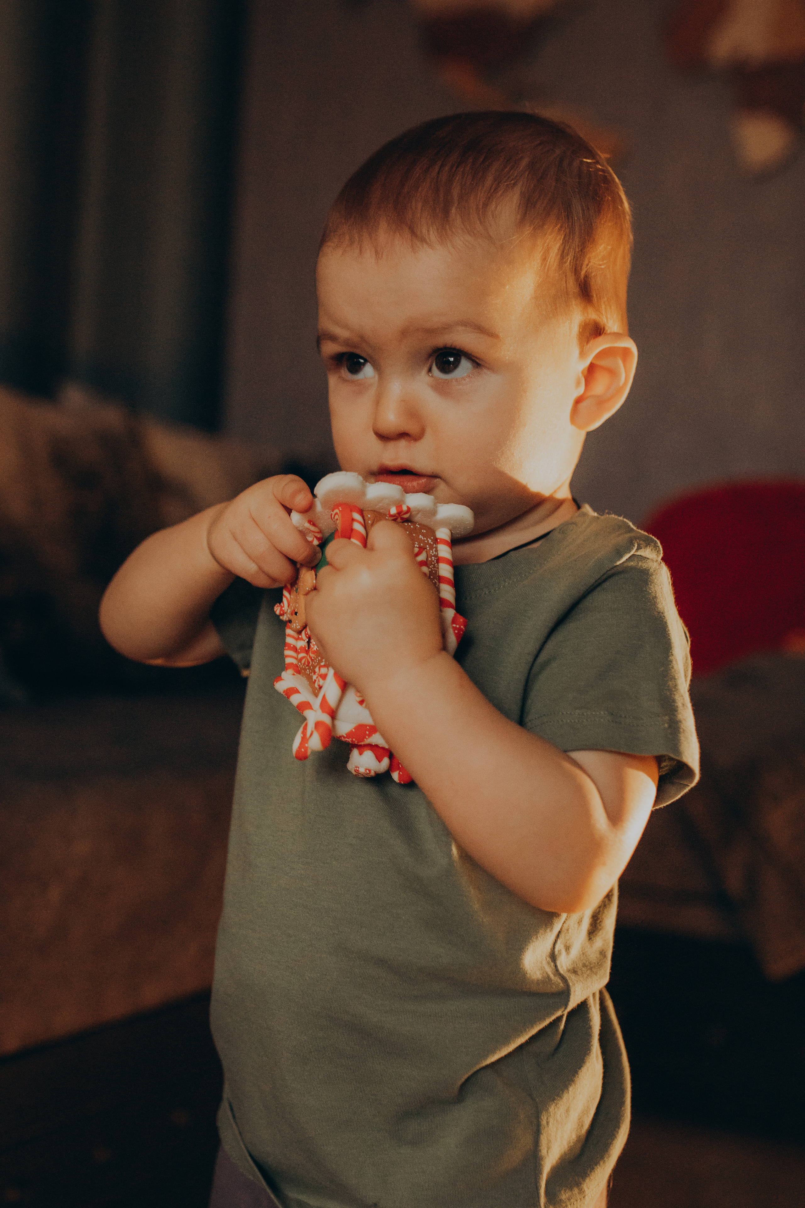 Новогодняя история. Фотограф новорожденных, детей и беременности г. Волгодонск Дарья Илькова