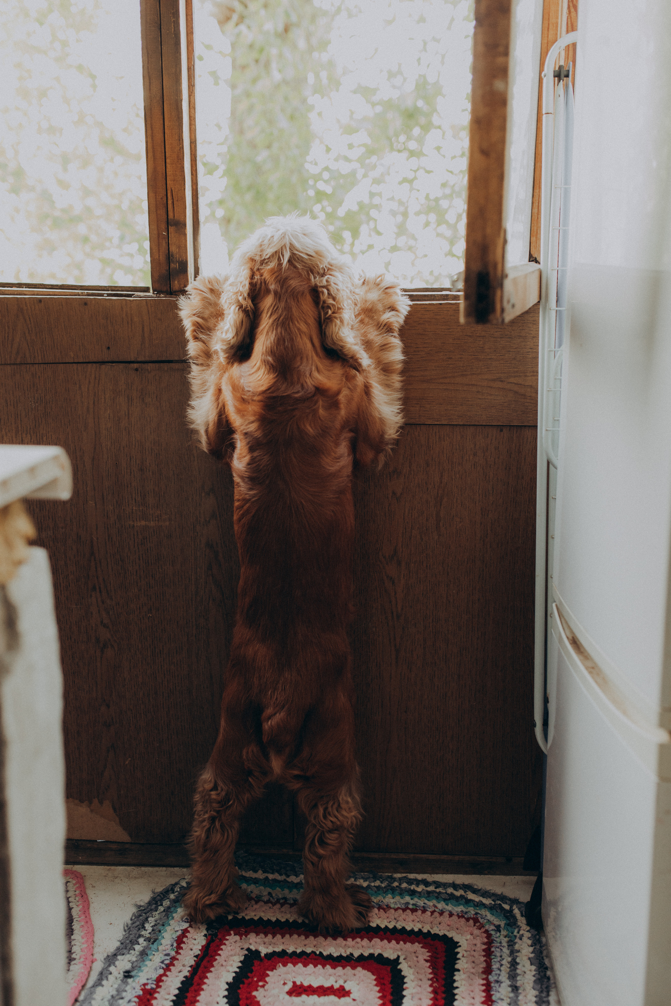 Домашняя съемка Аня и Кира. Фотограф новорожденных, детей и беременности г. Волгодонск Дарья Илькова