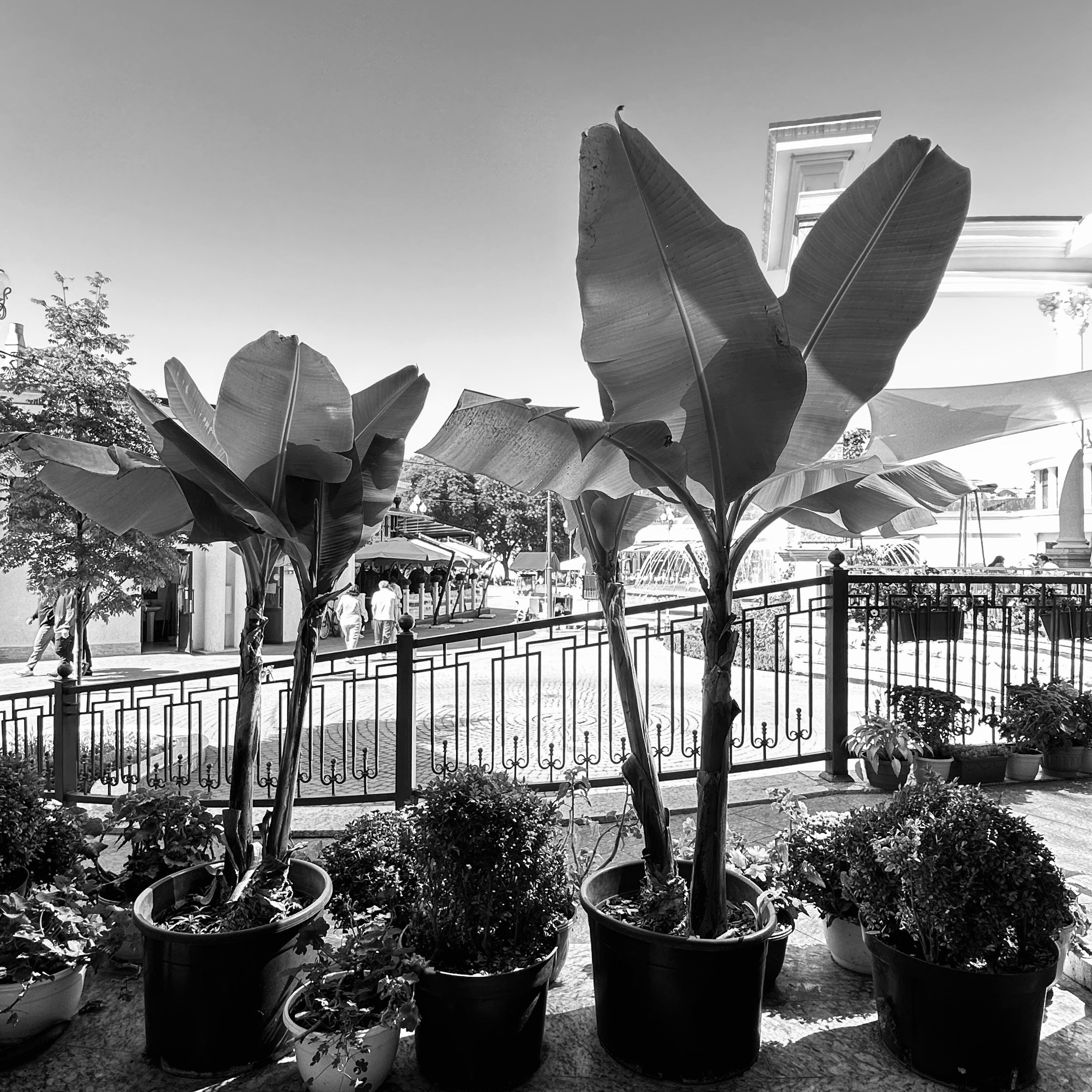 Кисловодск. Смотри, красота!