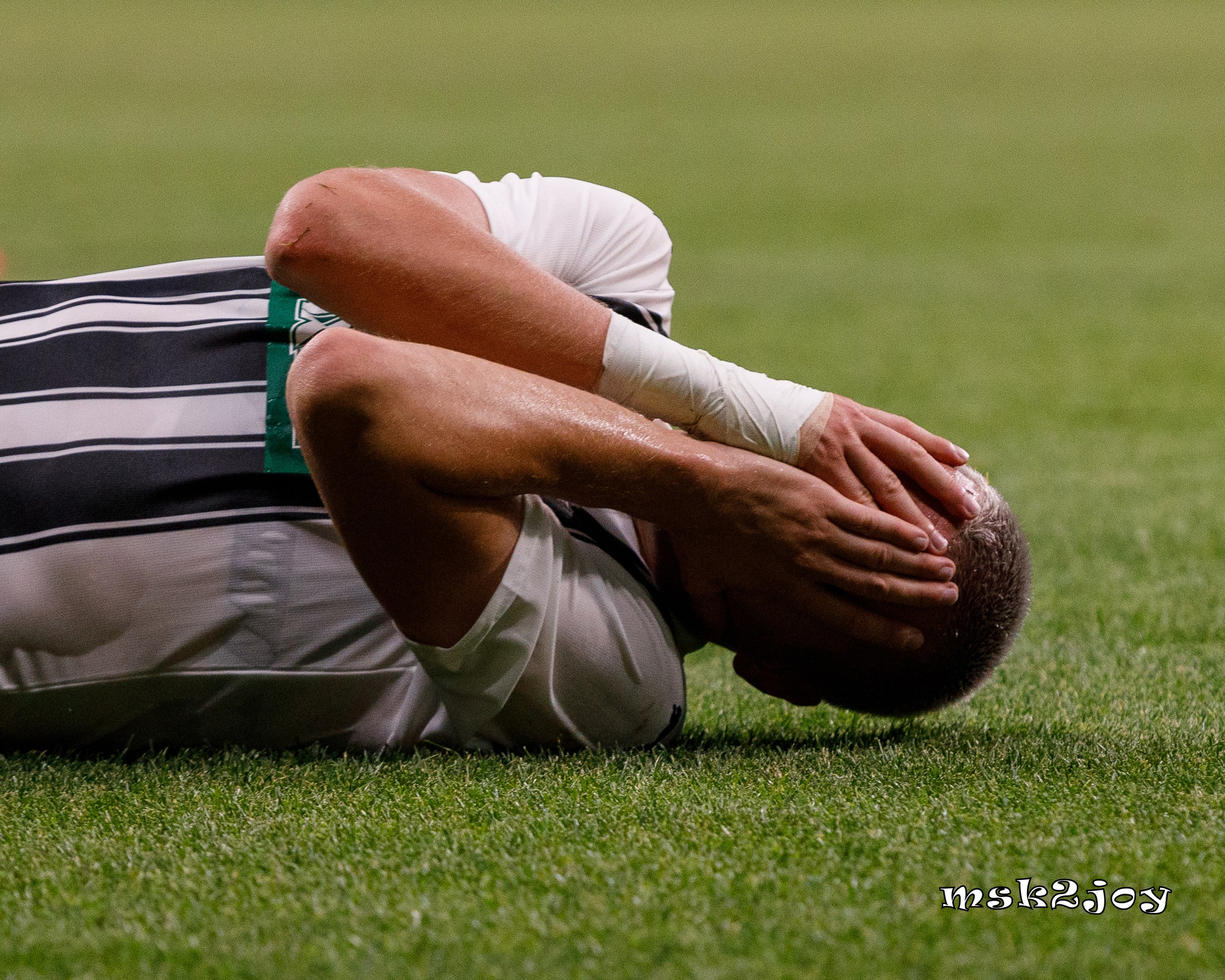 Фоторепортаж. ФК Динамо — ФК Партизан. Михаил Тоцкий портретный и репортажный фотограф в Москве