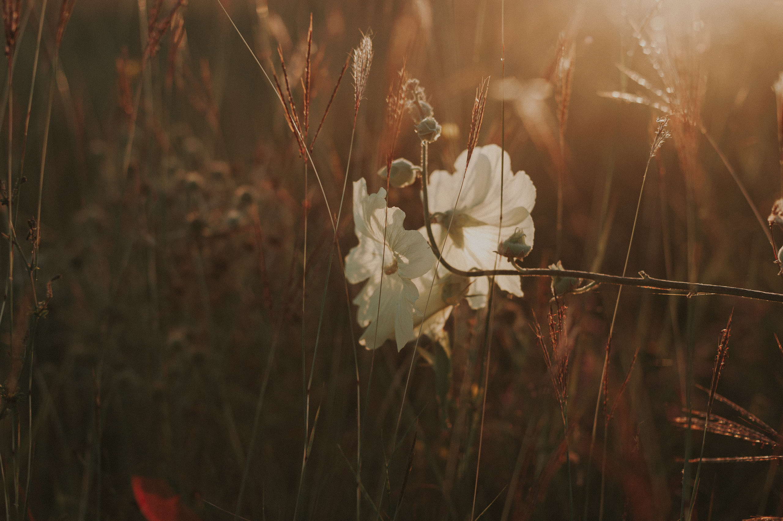 Волонтёрство. Семейный фотограф Ульяна Вишнякова