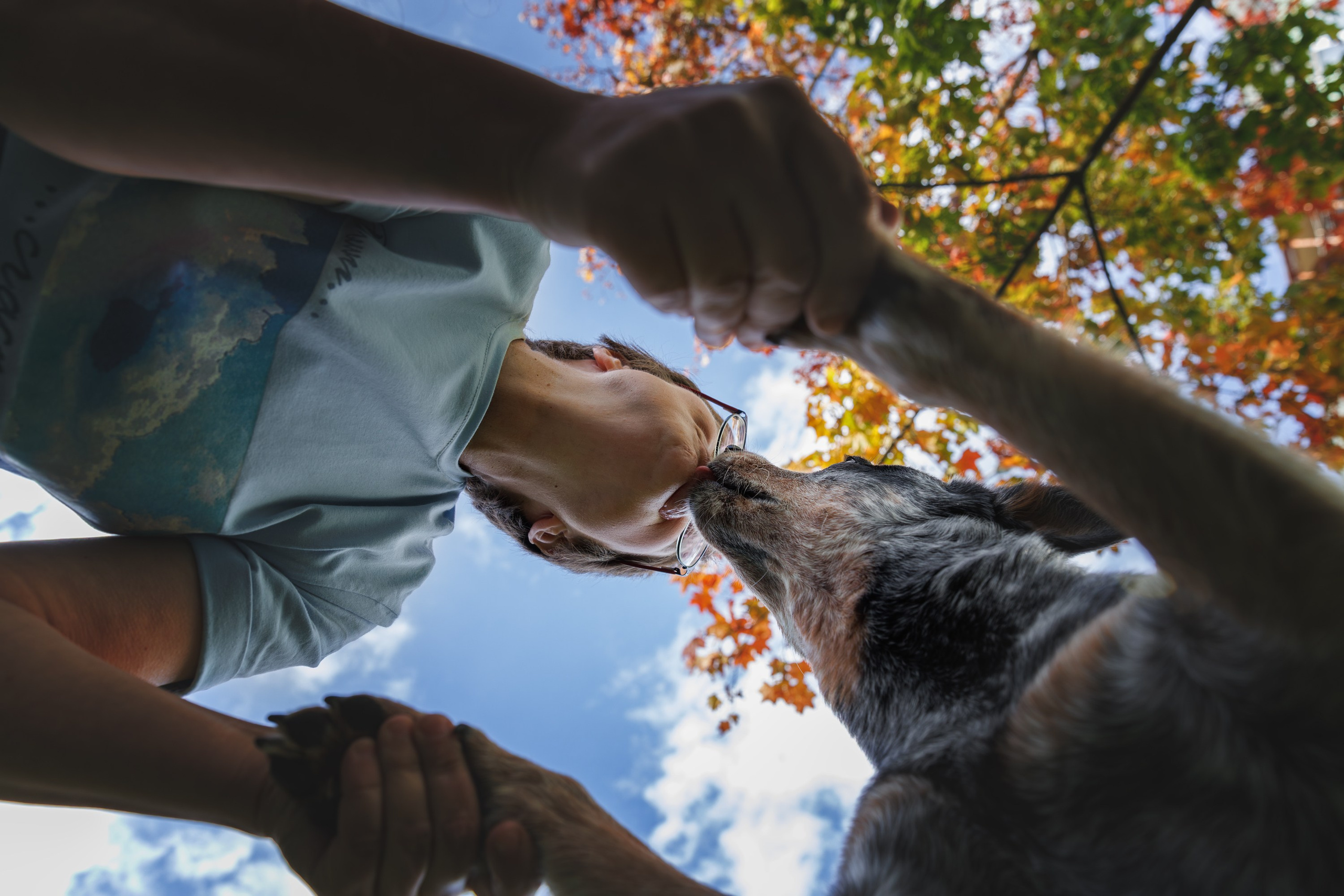 Фотопрогулки. Фотограф-анималист в Калуге Мария Шерскова