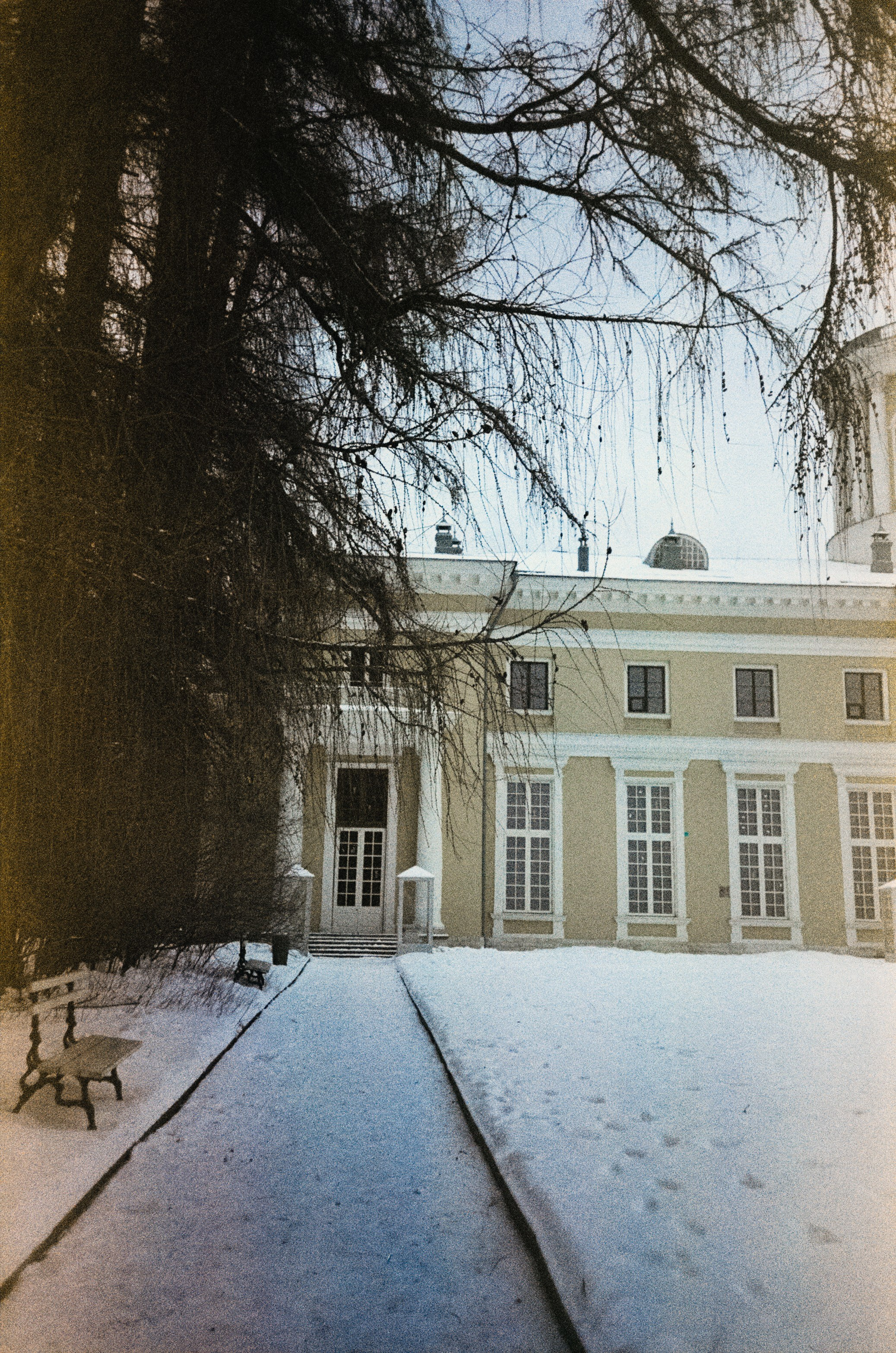 Fujicolor Superia 200 (просрочка) / Cosina CX-1 / 6 января 2025 года Усадьба Архангельское