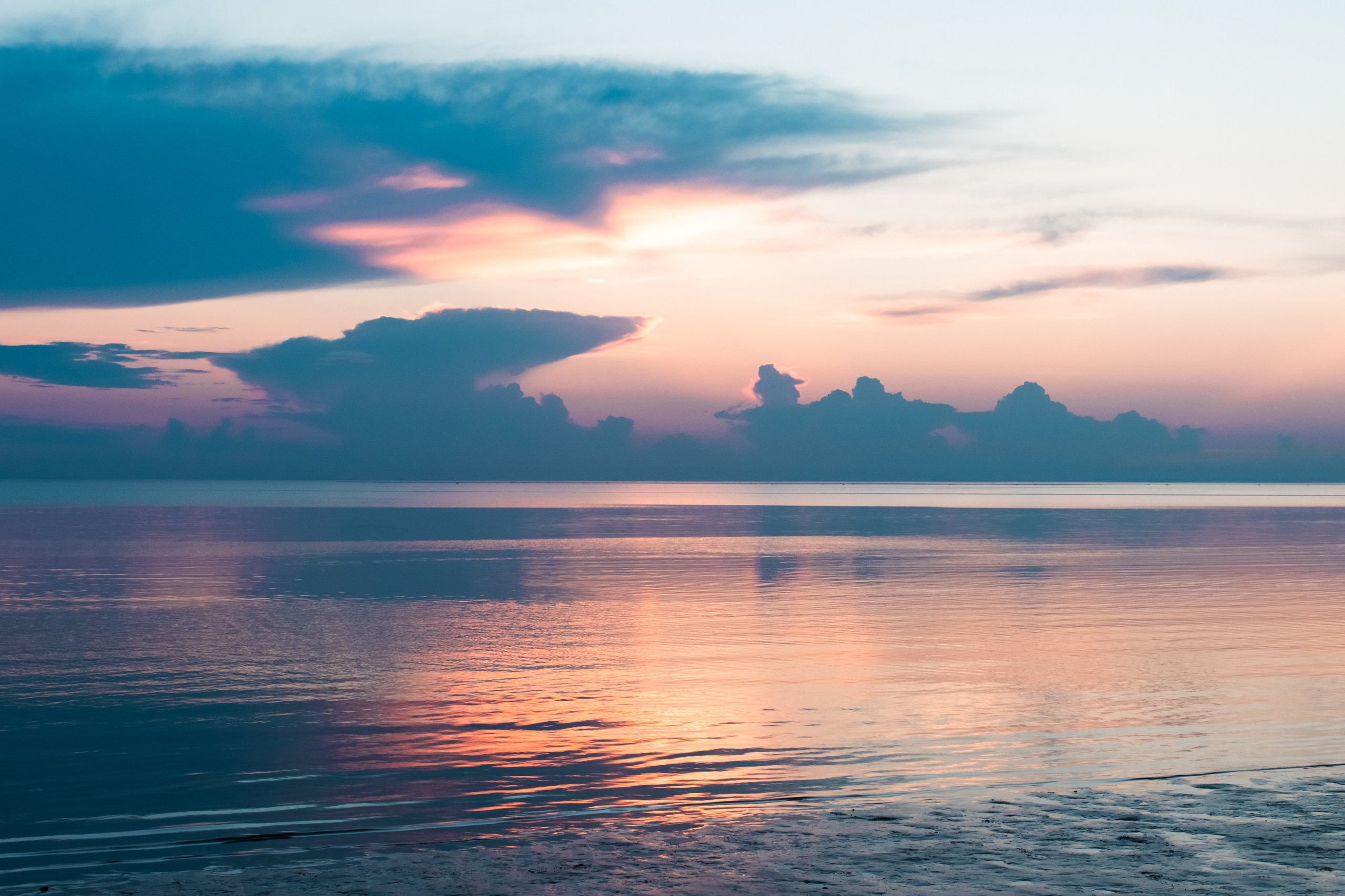 Архангельская область, Двинская губа. Фотограф в Москве Максим Скоробогатов