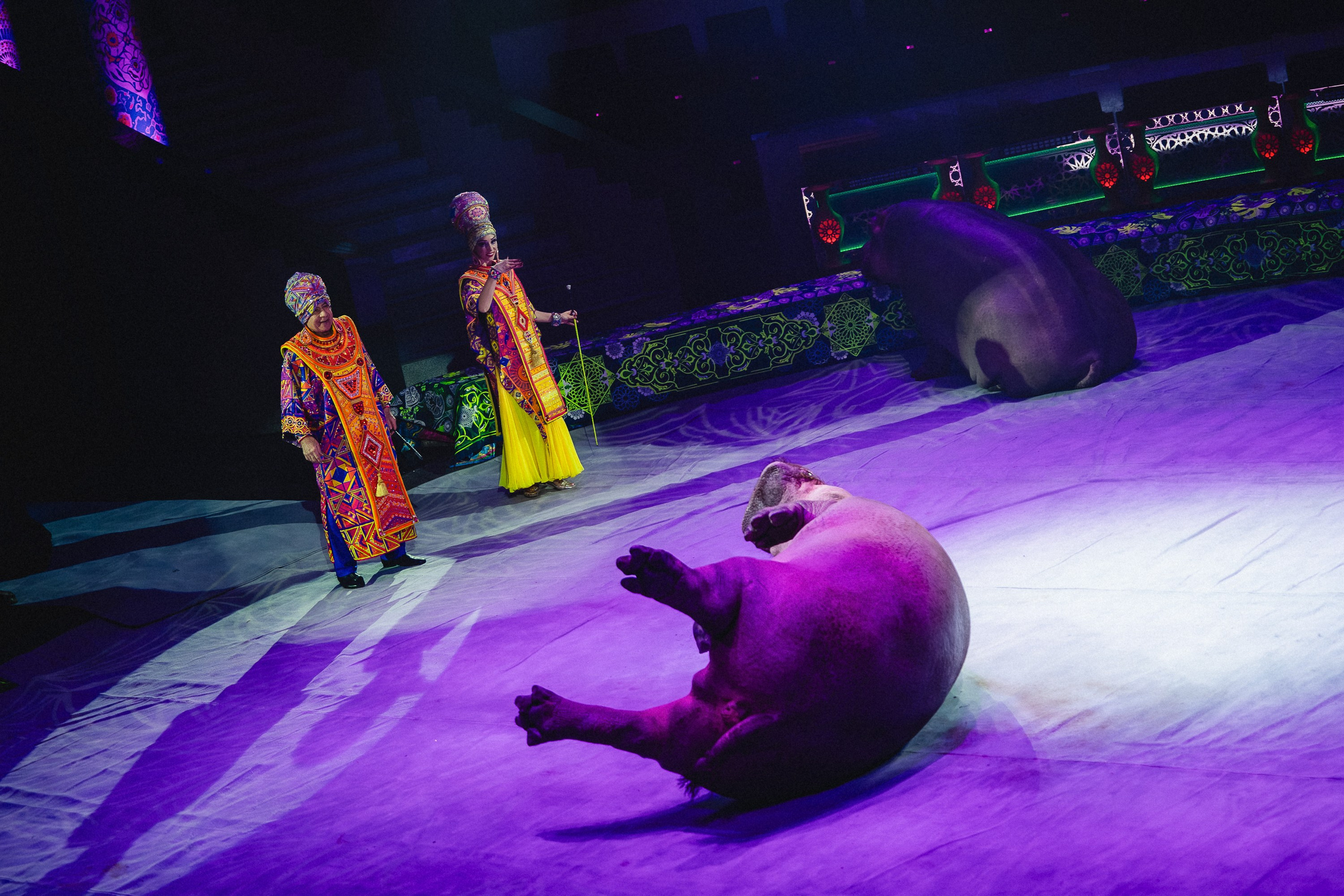 Пресс-показ шоу «Песчаная Сказка». Воробьева Ксения — Спортивный и танцевальный фотограф Новосибирск