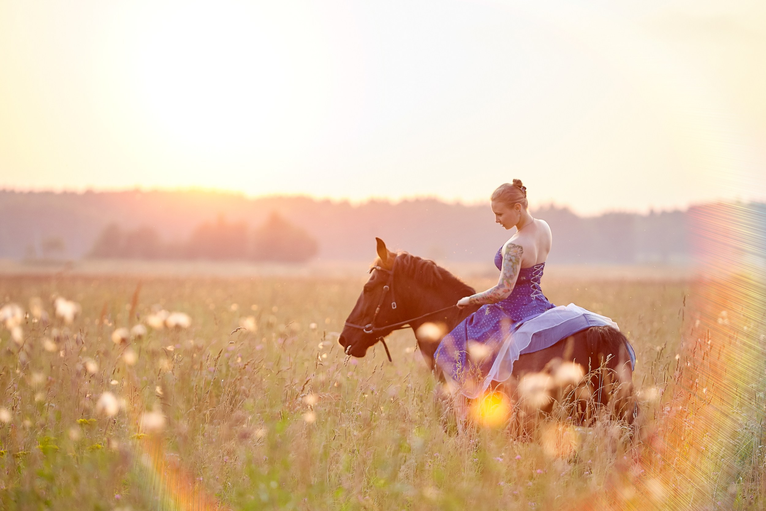 Фотосессия с лошадьми Фотограф Михаил Семенов, г. Ярославль