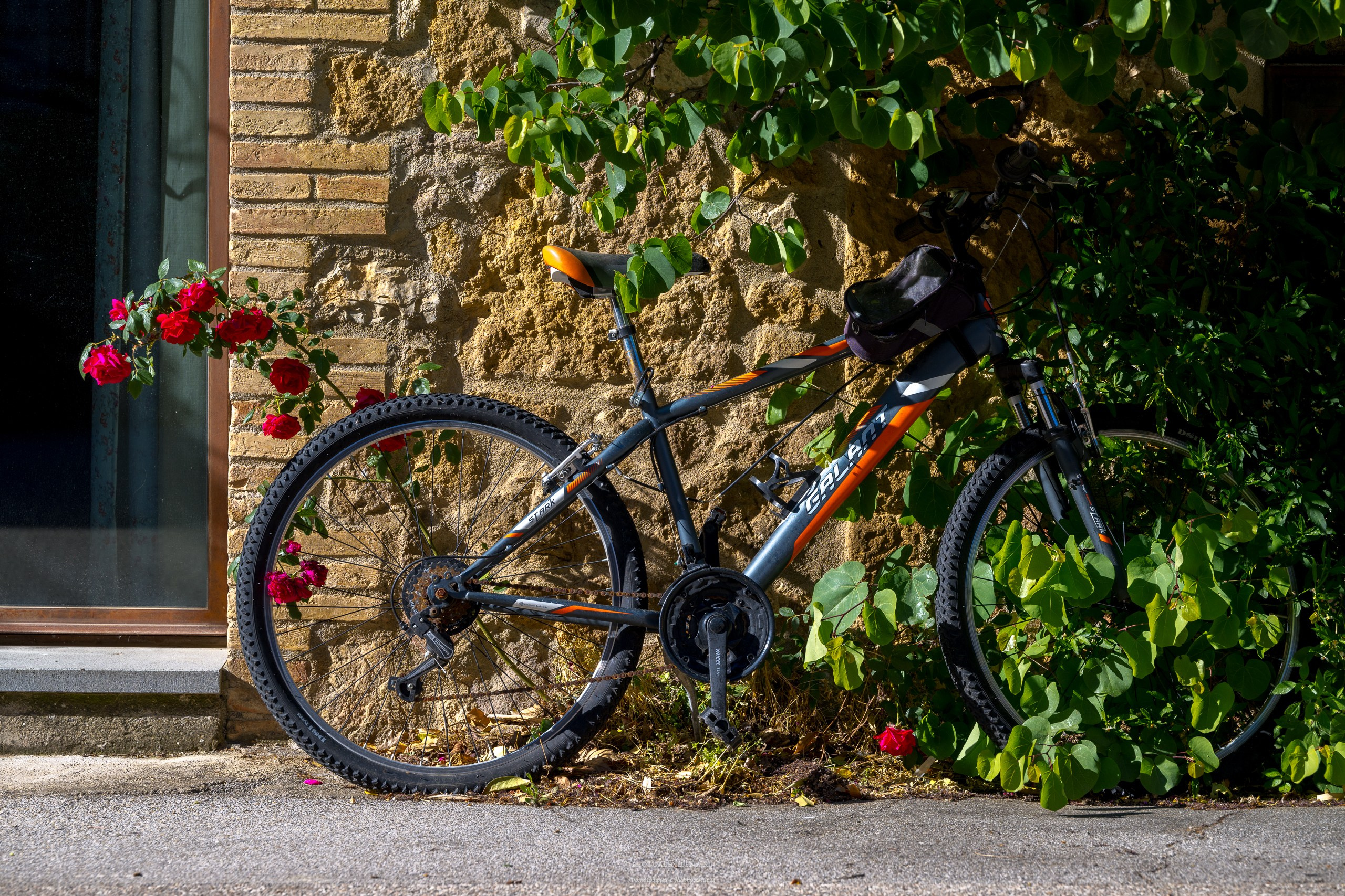 Путешествие сквозь красоту и вдохновение. Авторские стильные фотокартины