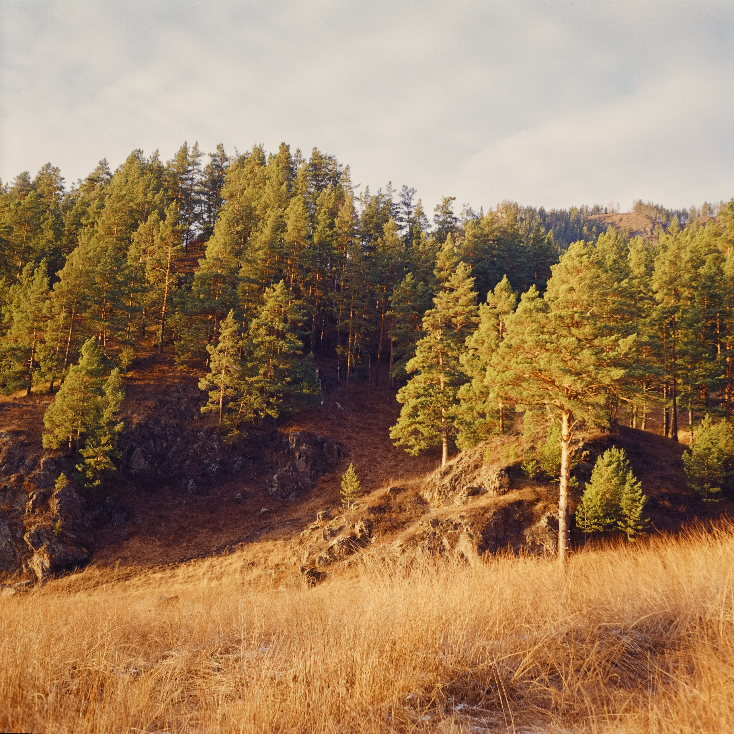 День зимнего солнцестояния / 22 декабря 2023 года (0)