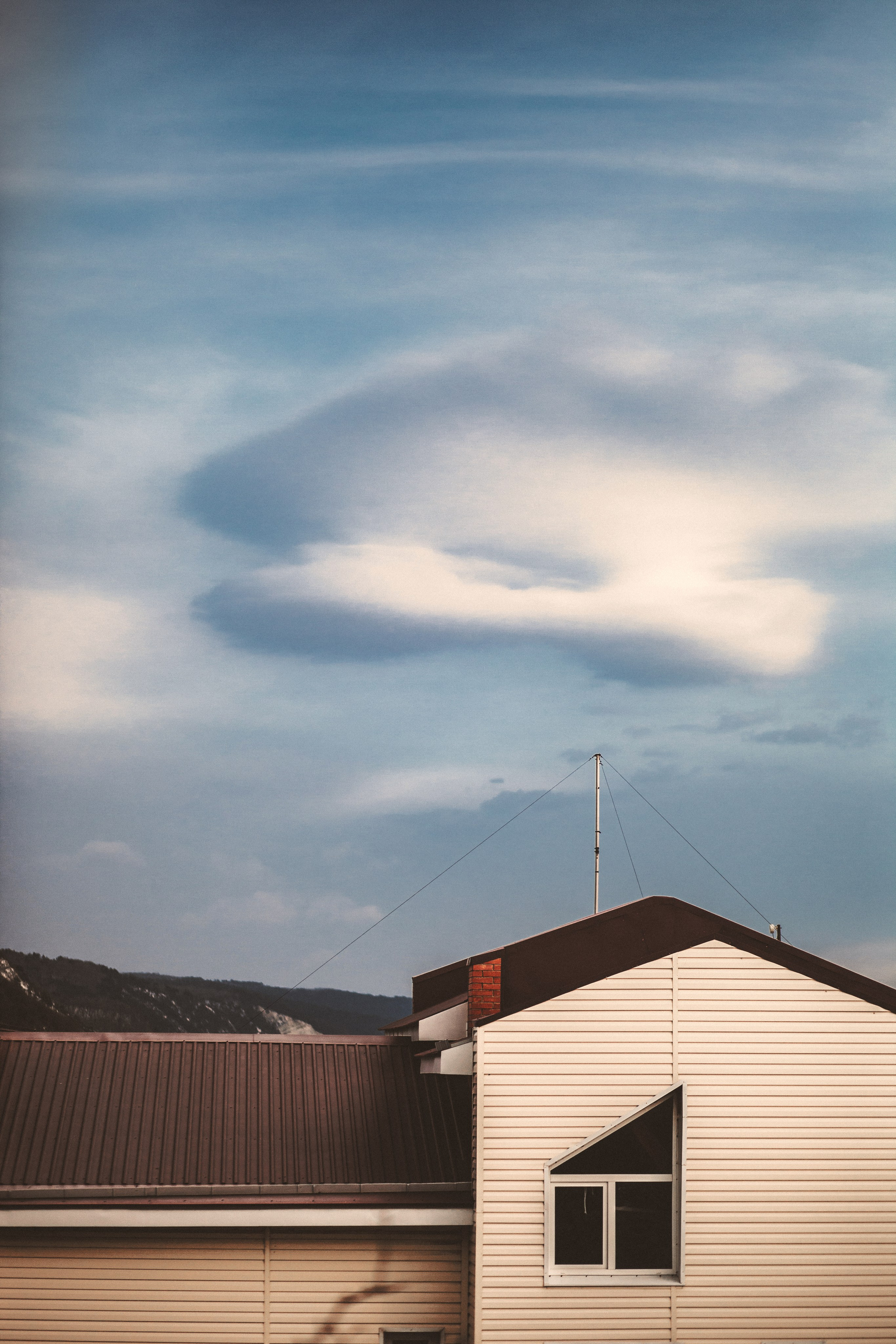 Улицы Люди на улицах Природа Животные — фотограф Оля Волчкова